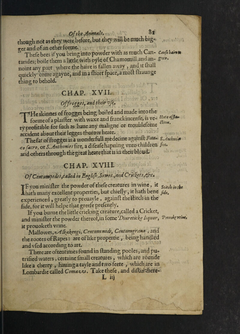 , Of the ^ ' w though not as they were before, but cbQ^iWill bfi oauch big-' ecr and of an other forme. ^ _ Thefe bees ifycm bring into powder with as much Can- tandes; boiic them afetle WithoykofChamomiU3andan- ***• noint any part where the haire is fallen away , ana it tLall quickly come agaync, and in a fhort (pace* a moft fcr*ungc thing to behold. i i i • : J v » * , CHAP. XVII. • y *• ‘ , ., i r -r ; i I ! > i ^ Offrojtjrei, AM their vfi, THe skinnes of frogges being boiled ana made into the formeofaplaifter with waxe and franckincenfe, is ve- ry profitable for fuch as hauc any roaligne or troublefcme accident about their legges thorow heatc. . The fat of frogges is i wonderful! ntcdecine agamit tm- sJsathw* <e focro, or S.Anthomes fire, a difcafchapningvnto children fa. and others through the great hcate that is in their bloud. CHAP. XVIII. ^ OfCcfttimp:des,c<tIicd in English,Sows.><tndCrickets,&c* ■ V. IFyouminiflcr the powder of thefe creatures in wine, it Sl*thinttt hath many excellent properties, but chiefly, it hath bene /,ye. experienced , greatly to preuavle , againfl thcftitch in the fide, for it will hclpe that greefcprefcnrly. If you burne the little cricking creature,called a Cricket, and minifter the powder thereof,in fome ‘Dmreticke liquor, Vnud^rtim. it prouoketh vnne. ........ Mallow.es, esilkakengi, Centum nodi, CcntutugtaM , and the rootes ofRapcs: are oflike propertie, being handled and vfed according to art. Thereare oftentimes found in ftanding poclcs,and pu- trifled waters, cettainc fmall creatures, which are rounde like a cherry , hauingatayleandtwofcete , which are in Lombardie called Com aw. Take thefe, and diftijs'.herc- L in