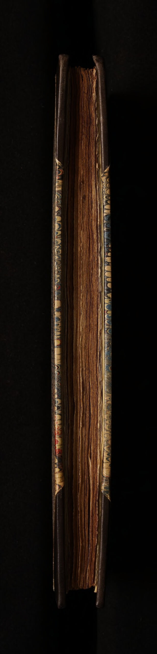 No text description is available for this image