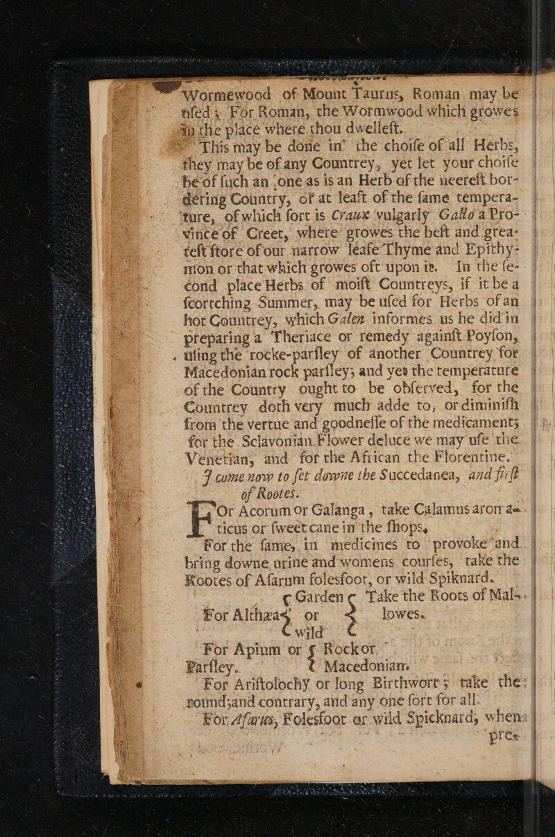 ux c ——DÀ €—MB B B T ES MAI CIO VO ECT ————— ERR of Mount Wormewood ES This may be done in’ the choife of all Herbs, be of fuch an .one as is an Herb of the neereft bor- dering Country, of at leaft of the fame tempera- vince of Creet, where growes the beft and grea- teft ftore of our narrow leafe Thyme and Epithy- mon or that which growes oft upon ie. In the fe- cond placeHerbs of moift Countreys, if it bea fcortching Summer, may be nfed for Herbs ofan hot Countrey, which Galen informes us he did in preparing a Theriace or remedy againft Poyfon, uting the rocke-parfley of another Countrey for Macedonian rock parfley; and yes the temperature of the Country ought to be obferved, for the Countrey doth very much adde to, ordiminifh from the vertue and goodnefle of the medicament; for the Sclávonian. Flower deluce we may ufe the Venetian, and for the African the Florentine. 3 come now to fet dovone the Succedanea, and fir[t : of Rootes. | f Or Acorum or Galanga , take Calamus aro ae r ticus or fweet cane in the fhops, For the fame, in medicines to provoke and bring downe urine and womens courfes, take the Rootes of Afarum folesfoot, or wild Spiknard. for LEY. or 2 lowes. ; Wild For Apinm or ¢ Rockor. ” Parfley. ^ Macedonian. For Ariftolochy or long Birthwort; take the gomndsand contrary, and any one fort for all: “pres