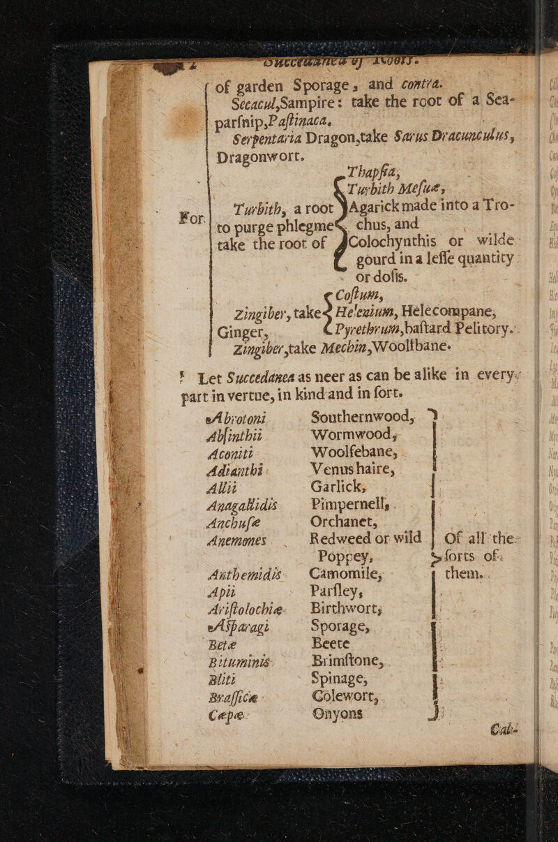 ax ————— € CCE YS TP L $7 = ASA T — of garden Sporage, and contra. Seeacul,Sampire: take the root of a Sea- parfnip,Paftinaca, Serpentarta Dragon,take Sarus Dracunculus, | Dragonwort. | Tbapfia; Turbith Mefue, | ‘Turbith, a root YAgarick made into a Tro- |:to purge phlegme&amp; chus, and | take the root of JColochynthis or wilde: | gourd ina lefie quantity or dofis. : Co[ uim, | zingiber, take4 He'euium, Helecompane, Ginger, Pyretbrum,baftard Pelitory.’ Zingiber take Mechin,Wooltbane. F Let Succedanea as neer as can be alike in every. b part in vertue, in kind'and in fort. 1 eA brotoni Southernwood, '$ t Ablinthit Wormwood, i Aconitt Woolfebane, NS Adtanthi: Venus haire, e Alli Garlick, | D Anagallidis. . Pimpernell,. h Anchufe Orchanet, h Anemmes. _ Redweedor wild | Of all the: p : Poppey, S forts. of. ji Autbemidik: Camomile; them... i Api Parfley, p Ariftolochie. — Birthwort; i di eAsparagi Sporage, a Bete Beete d js Bituminis Brimftone, ‘ Ur Bt Spinage, : | Braffice : Golewort, | | in Cepe Onyons J