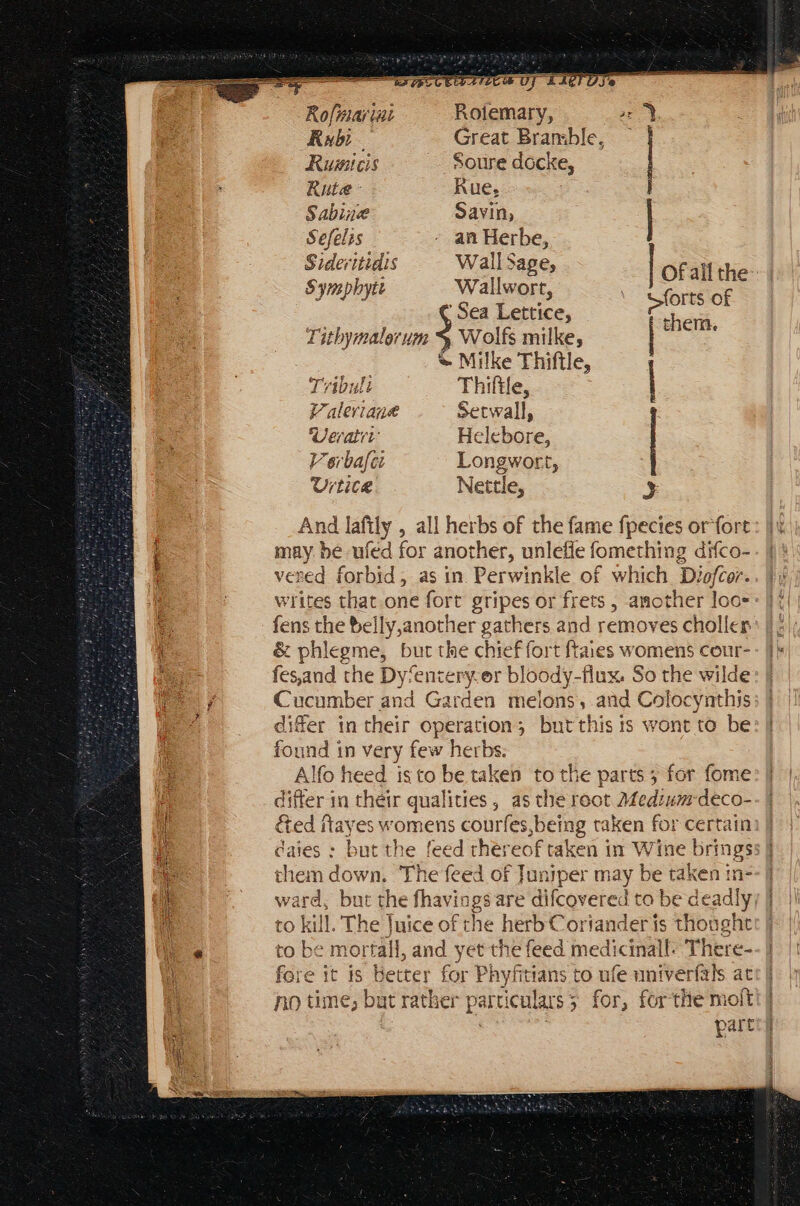 eS nol Rybi- Rumicis Rute - Sideritidis Symphytt Tabul Valeviane Veratri Urtice A olemary, Soure docke, Rue, Wall Sage, Wallwort, Sea Lettice, Wolfs milke, Milke Thiftle, Thifile, Setwall, Helebore, Nettle, FRLIBEUD DRE RUNS &amp;ed ftay fore it 15 Heiter no time; but rath part t