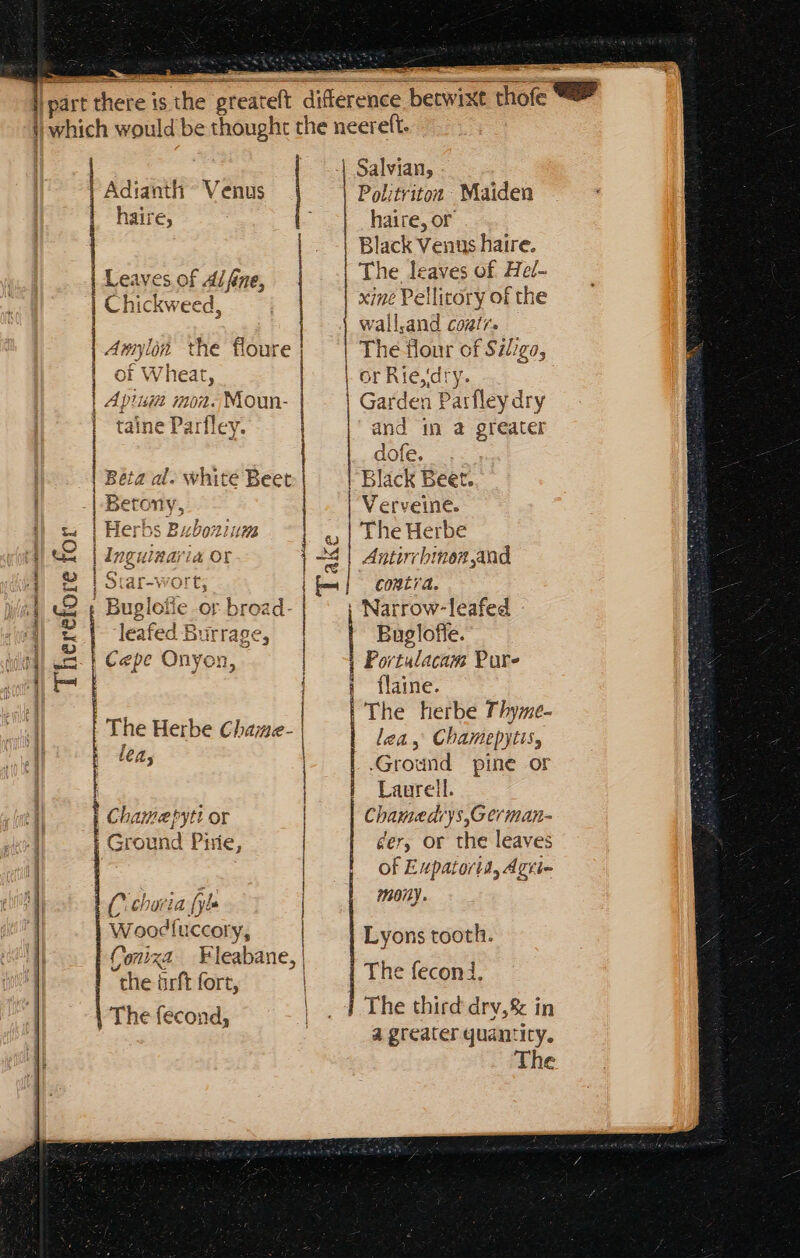 Therefore for ET TRENT = | Salvian, Politriton Maiden Black Venus haire. xine Pellitory of the | Adianth ^ Venus | P ! | walland coat. | | tf *xTloax | e: . , or Wheat, or Rie4dry. | Apusa mon. Moun- ] r art! Garden Parfley dry | |c | Amylin the floure The flour of $2/go, — MÀ | Beta al. white Beet Black Beet. |. Betony, Verveine. | Herbs Eubozium o | Phe Herbe | Inguina ia OF 3 | Antirvbinen,and | otar-wort, EI contra. | Buglofie or broz Narrow-leafed Portulacam Pure | [laine. The herbe Thyme- lea, Chamepytis, -Ground pine or Laurell. Chamedrys,German- der, or the leaves of Expatorta, Agti- m0i2y | Buglofle. | fh | | The Herbe Chame- P (^ choria [yh Woodfuccory, Conixa Fleabane, the ürft fort, Thetécond: | 4 The third dry, 8 in | a greater quantity. The Lyons tooth. | The fecond., ‘ lt iene ii tt nanan tie een i | Chamepytt or E Puie,