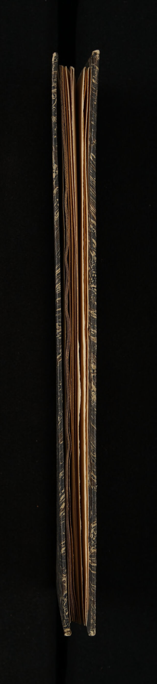 No text description is available for this image