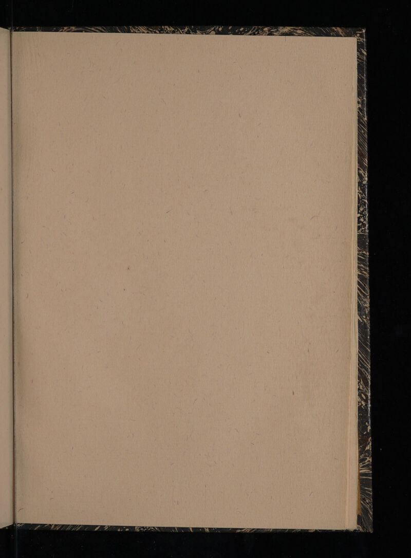 GSE EIEN OM ME 1 fis - Ay aN esr