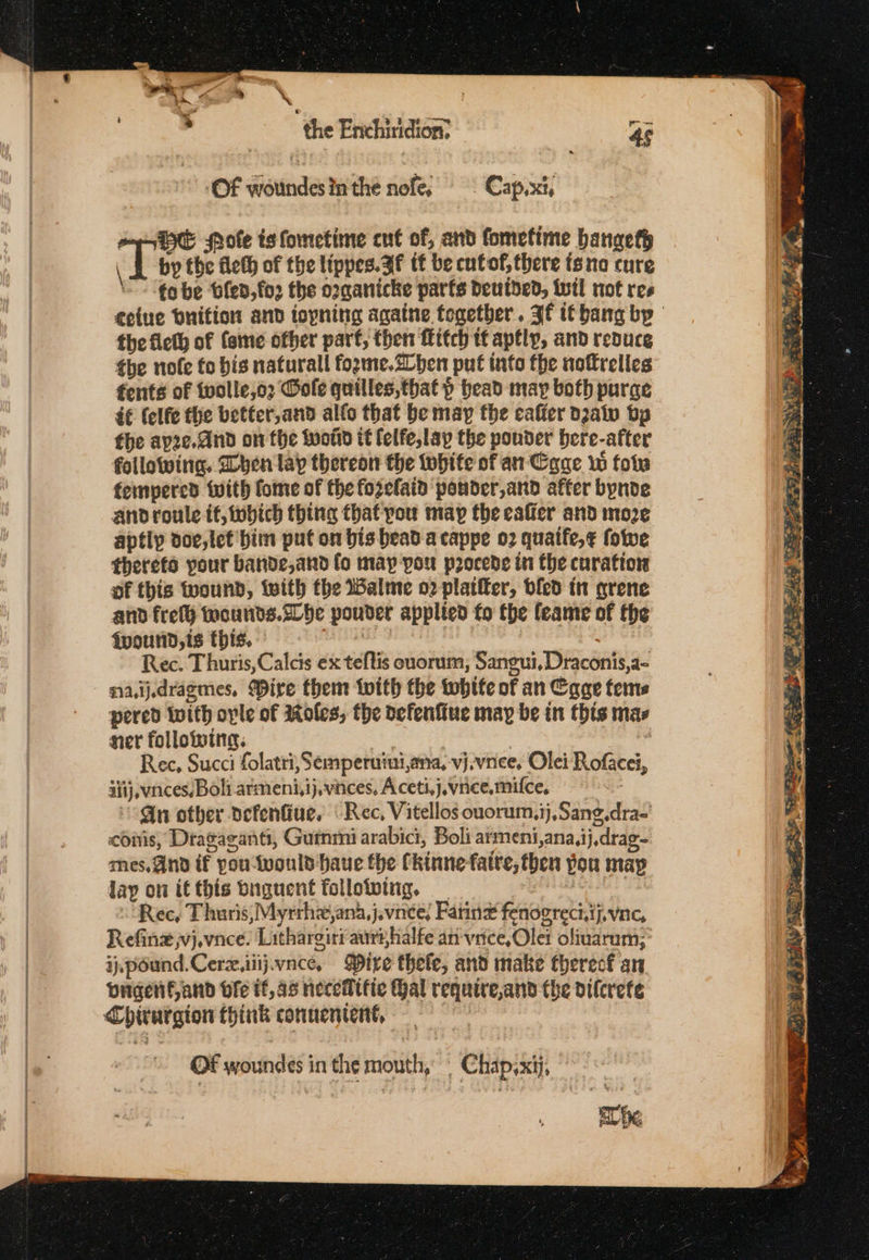 the Enchiridion: rr ‘Of woundesin the nofe, — Cap,xt, by the fleth of the lippes. Ff tt be cutof, there tsno cure qh rote is fometime cut of, and fomefime bangeth \ fobe bled, for the oxcanicke parts deutded, wil not res ectue Dnifion and iopning againe together. If itbang by the fieth of (ome other parf, then Mitch tf aptly, and reduce the nofe fo bis naturall fozme.2Lben put info the nottrelles fents of Wwolle,o2 Wole quilles,that p head may both purge d€ (elfe the better,and alfo that be may the caffer dzalw bp the ay2e.and on the toot it felfe,lap the pounder bere-after following. hen lap thereot the white of an Cane w fots fempered with fome of the fozefaid pouder,and after bynde and roule if, which thing thaf pou map the eaffer and moze aptly doe, tet bin put on bis bead-a cappe 02 quatfe,¢ fotve therete pour bande,and fo may-pou procede in the curation of this twound, with the Balme o2 platfler, ofed in grene and fref} wounds.2be ponder applied fo the feame of the {pound,is this. sp ecm Rec. Thuris, Calcis ex teftis onorum, Sangui,Draconis,a- naij.dragmes, Dire them with the white of an Cage tems pered Wwith ople of Moles, the defenfiue may be in this may ner following. | | Rec, Succi folatri, Semperuiui,ana, vj.vnee, Olei Rofacei, iii}, vnces, Boli armeni,ij,vinces. Aceti,j.vnee,mifce, Gn other defenfiue, “Rec, Vitellos ouorum,ij,Sang.dras coiis, Drasaganti, Guinmi arabici, Boli armeni,ana,ij,drag- mes. And if pou would haue the fkinne-fatre, then pou may lay on it this buguent follotving. lier coed Rec, T huris,; Myrrhex,ana,javnce, Farine fenogreci,tj,vnc, Refine jvj.vnce. Lithargiriauryhalfe an vice, Olei olimarum; ij pound.Cerz,iiij.vnce, Dire thefe, and mate thereof an wrgenifand bie tf, as neceMific Hal require,and the pifcrete Chiturgion think conuentent, Of woundes in the mouth, | Chap,xij, © - The