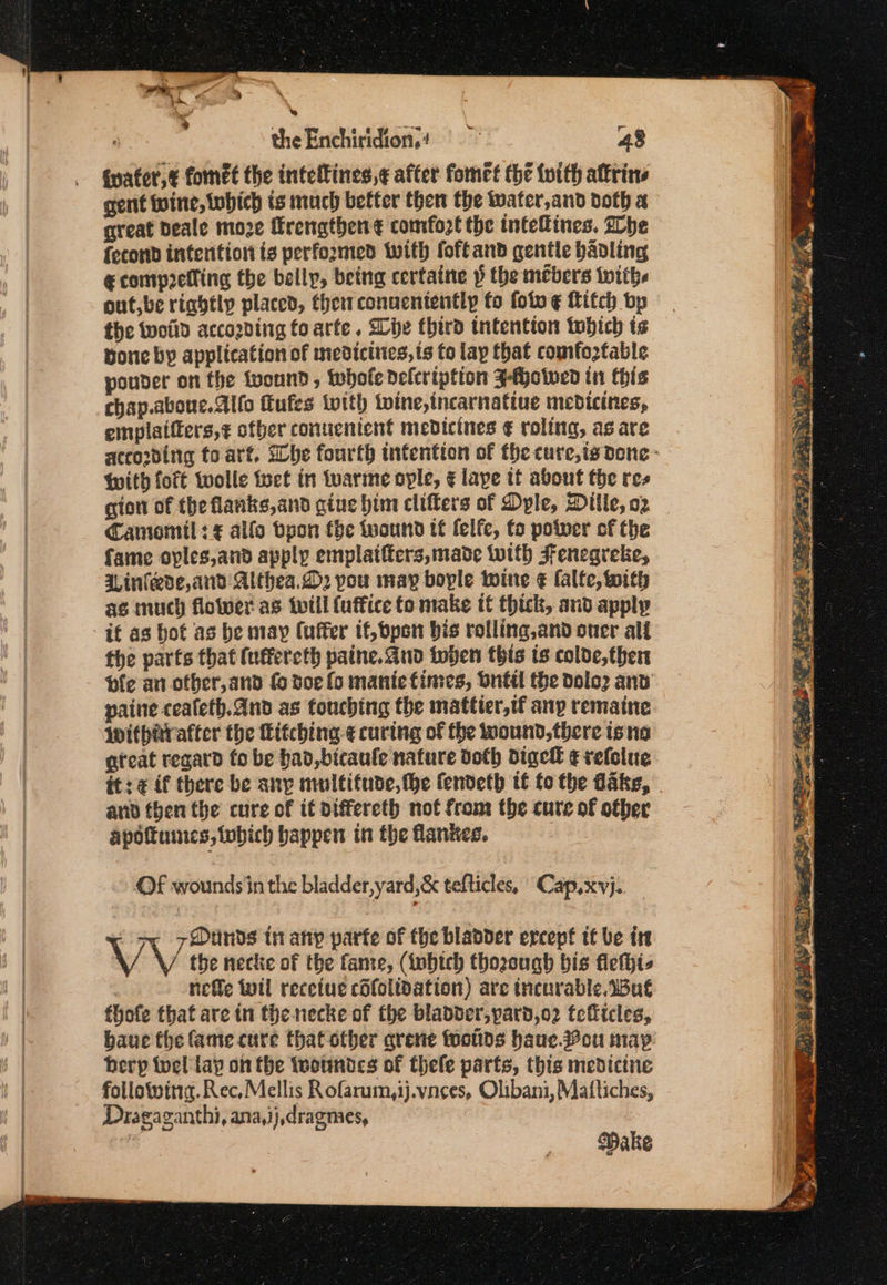 the Enchiridions? |” 43 iwater,¢ fomet the inteltines,¢ after fomet the tvith attrins gent wine, tobhich is much better then the water,and doth a great beale moze Hrengthen¢ comfozt the tntelines. he fecond intention is performed with foftand gentle badling €comp2elling the belly, being certaine p the mebers with. out, be rightly placed, therrconucniently fo fotv ¢ Kitch bp the twoiid accoding fo arte. Le third intention tobich ts Bone by application of medictites, ts to lay that comtoztable pounder on the tvound, whole defertption J-fhowwed it this chap.aboue.Alfo fufes twith twine,tncarnattue medicines, emplaifters,¢ ofber conuenient medicines ¢ roling, as are With foft wolle toct in tuarme ople, ¢ lape if about the res gion of the flanks,and giue him clifters of Dyle, Dille, o2 Camomil:¢ allo byon fhe wound t£ felfe, to power of the fame oples,and apply emplatfters, made with Fenegreke, I infede,and Althea. D2 pou may boyle tome ¢ falfe, with as much flower as twill {uffice fo make if thick, and apply if as bot as be may (uffer if, bpen bis rolling,and oner ali the parts that (uffereth paine. Gud inden this is colde,ther pie an other, and f doe fo manic times, Onftd the dolo2 anv paine ceafeth.and as touching the mattier,tf any remaine Wwithirafter the Litching-¢ curing of the wound,there is na ateat regard fo be had,bicaule nature doth digel ¢ refolue it: ¢ if there be any multifude,the fendeth tt to the dake, and then the cure of it differeth not from the cure of ofber apottumes, tobich happen in the flankes. Of woundsin the bladder,yard,&amp; tefticles, ' Cap,xvyj. ox 7MDunds tn anp parte of the bladder ercept tf be it VV the necke of the fame, (tobich thozough bis fiethis nefle wil recetue cifolidation) are tneurable.iBué fhofe that are tn the necke of the bladder, pard,o2 tcficles, baue the fame cure that other qrene foonds hauc.ou map berp toch: lay on the iwoundes of thele parts, this medicine following. Rec,Mellis Rofarum,ij.vnces, Olibani, Maftiches, Dragaganthi, ana,ij,dragmes, | Dake eee See eT ee ee aes (Gree ee