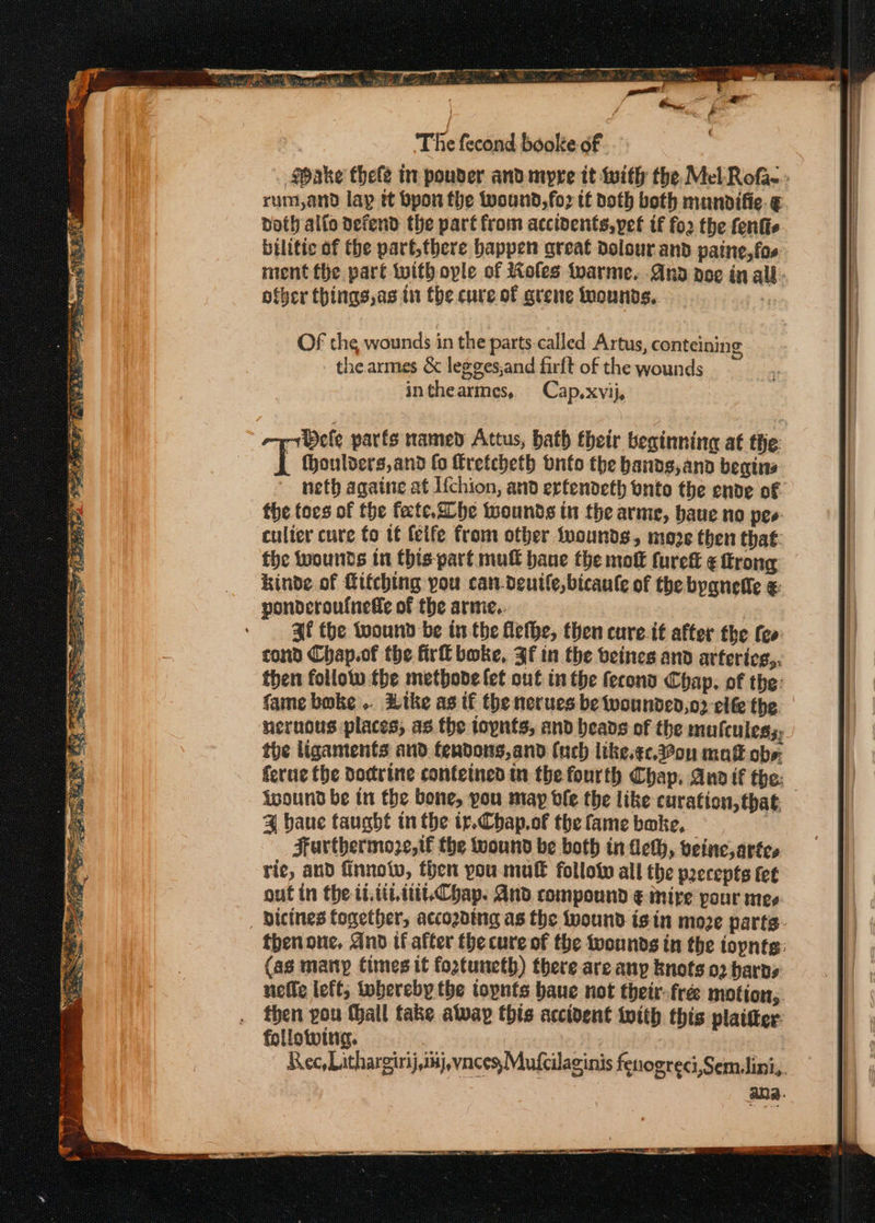 Oake thele in pouder and myre it with the Mel Rofa-. rum,and lay tt bpon the tuound,fo? tt doth both mundifie. ¢ voth alfo nefend the part from accidents, pet if fo2 the fenfie bilitic of the part,there happen great dolour and paine,fos ment fhe part with ople of Koles warme. And noe in all: ofyer things, as in the cure of grene mounds. . OF the wounds in the parts:called Artus, conteinine Qo thearmes &amp; legges,and firft of the wounds inthearmes, Cap,xvij, $e a ee car enaal aS oe ae so Rg as a eee ee % PY, isin. aay y AS A ere P4 following. Rec, Litharginij, ij, vncesMufcilaginis fenogreci,Semilinis. IQS. a rd