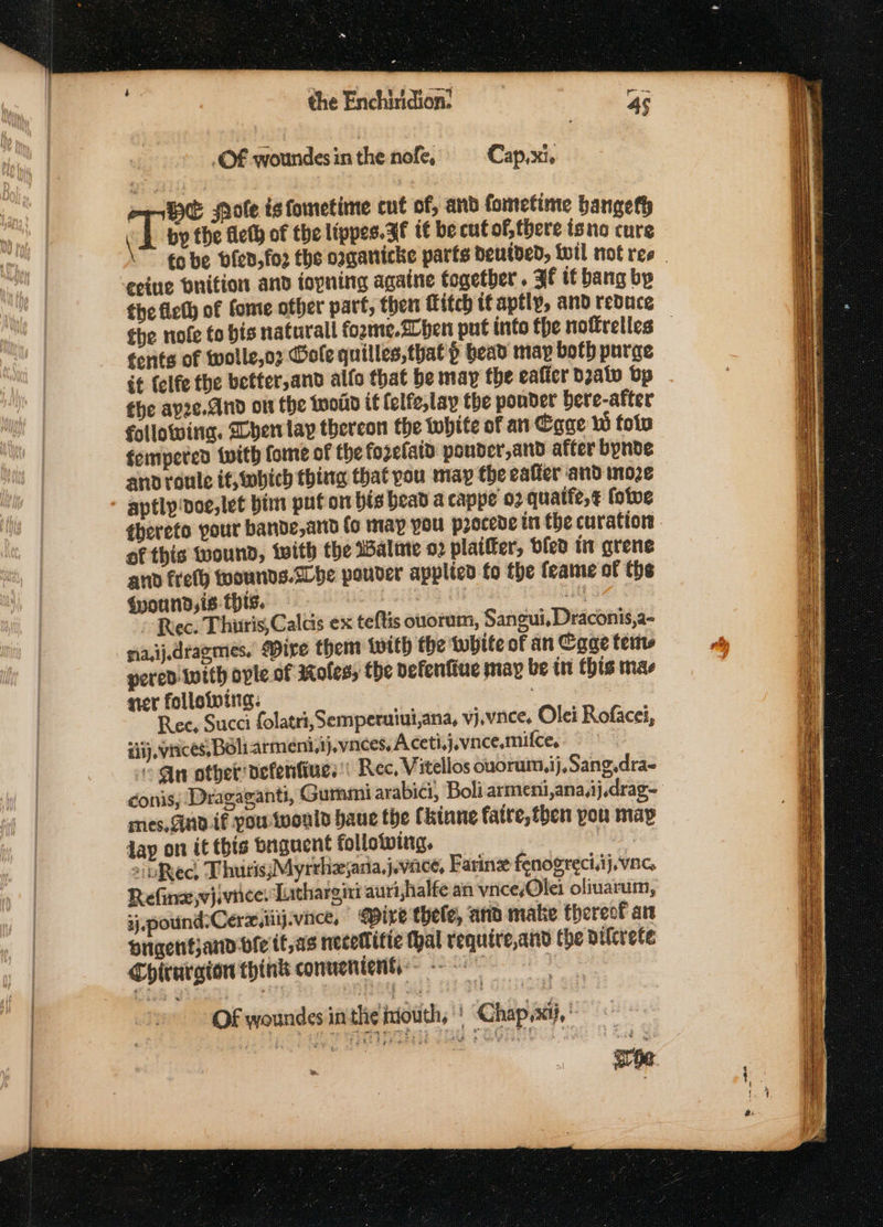 e the Enchinidion: | 45 OF woundes in the nofe, Cap,xi. me Ht pote is fometime cut of, and fometime bangeth a8 by the fleth of the lippes. 3f i€ be cut of, there isno cure eine bnition and iopning agatne together. If it bang by the nofe to bis naturall fozme.20hen put into the noffrelles tents of wolle,o7 Cole quilles,that p bead may both purge ét {elfe the better, and alfo that be may the eaficr Dealv by the ayze.And ot the woud it felfe,lay the ponder bere-after following. Len lay thereon the white of an Cage i fotn fompered with fome of the fozefaid pouder,and after bynde and roule it, which thing that pou may the eafter and moze of this wound, iwith the alate 02 plaiffer, bled tit grene and fret toounds.che pouder applied fo the feame of ths {pound,is- thts. : i ug oe ¢ &gt; Rec. Thuris,Calcis ex teftis onoram, Sangui, Draconis, a- fa,ij.drazmes. Dire them (with the white of an Cage tems pered with ovle.of Roles, the defenfiue may be tn this mae ner folloivina: Ree, Succi folatri, Semperuiui,ana, vj,vnce. Olei Rofacei, siij, vrices, Béliatmeni,ij,vnces, Aceti,j.vnce.milce, Qn other defenfiues'\ Rec, Vitellos ouorum,ij,Sang.dra- o mes, and if you would haue the Chinne fatre, then pou may day on it this bnuguent following, Na 2ipfRect Thuris;Myrrhzjana,j.vace, Faring fenogreci.jj. vnc Refinw vjiviice: Lathargint auri,halfe an vncesOlei oliuarum, sjpound:Cerzxiiij.vnce, MPire thele, ara mate thereof art brigentjand-ble tf, as necelitiec thal require,and the pilcrete Chiturgion thinks commenienh Of woundes inthe iiouth, | Chapa, . OBA