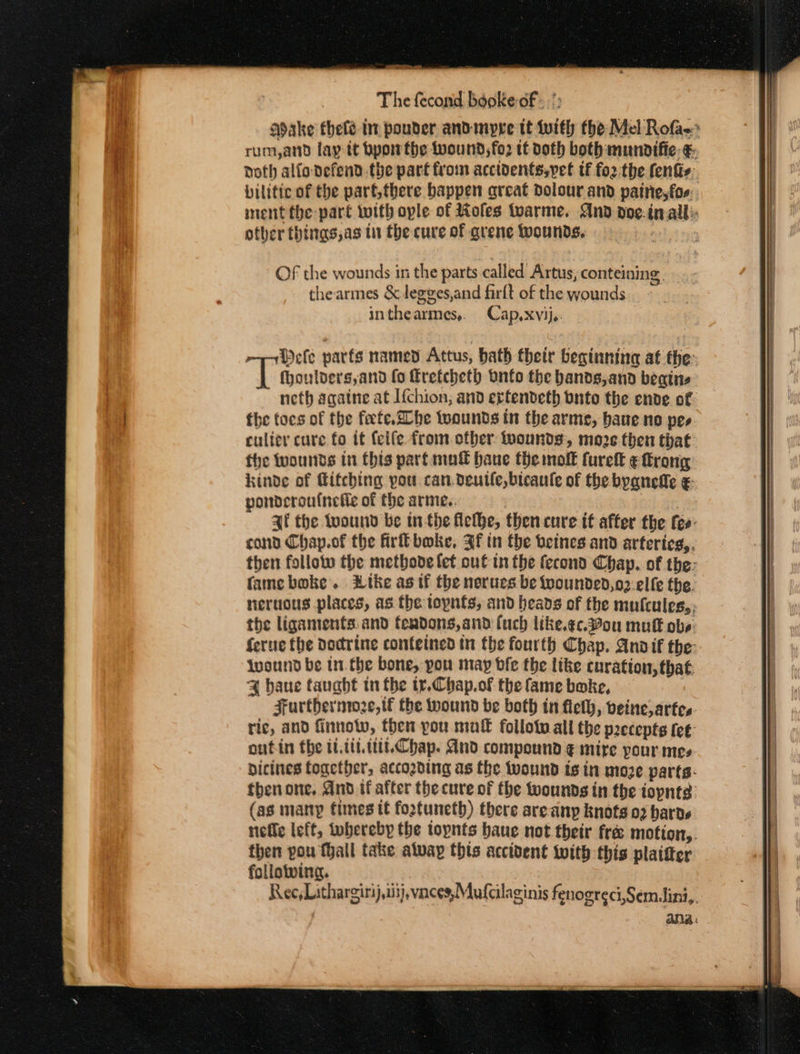 The fecond booke of: APake thele in pouder andimypre tt with the Mel Rofas rum,and lay tt bpoirthe wound; fo2 tt doth both mundifie- ¢ noth alfo defend. the part from acctdents,pet tf foz'the fens: bilitic of the part,there bappen great dolour and paine, fos: ment the part with ople of Moles tuarme. And doe-inall: other things,as tn the cure of qrene wounds. OF the wounds in the parts called Artus, conteining thearmes &amp; degges,and firft of the wounds inthearmes,. Cap,xvij,: Wefe parfs named Attus, bath their beginning af the: fhoulders,and fo frefcheth onto the bands,and beqins neth agatne at Ifchion, and ertendeth bnto the ende of: the tocs of the farte.20he toounds tn the arme, baue no pes culier cure fo it feife from. other. Mounds, more then that fhe wounds in Chis parfamud bane the molt ture efrong kinde of itching you. can.deulle, bicaule of the byanefie ¢- pondcroufnetie of the arme.. | Af the tuound be tithe flelhe, then cure it after the Ces: cond Chap.of the fir bwke, If in the beines and arteries, then follow the metbode fet out tn the fecond Chap. of the: fame boke. Like as if the norucs be twounded,o2 elfe the. neruous places, as the topnfs, and beads of the mufcules,. the ligaments. and feadons,and fuch like.¢c.390u mutt obs: ferue the doctrine conteined tn the fourth Chap. Andi the: wound be tn. the bone, you may ble the like curation, that 4 baue fauabt tn the tr.Chap.of the fame bake, Furthermoze, tf the wound be both in fleth, veine, artes: ric, and finnoww, then you niu follotv all the precepts tet: oufin the iitiiutiChap. And compound ¢ mire pour mes dicines fogether, according as the wound is in moze parts: then one, And tfafter the cure of the wounds in the topnte: (as many times tt footuneth) there areanp knots 02 bards nefle left, tubereby the iopnts haue not their free motion,. then pou fhall take atvay this accident with this plaitter follotwing. Rec, Lithargiri),i3j, vances; Mufcilaginis fenogreci,Semlini,. ana.