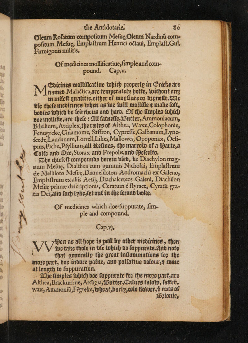 Oleum Rofatum compofitum Mefue,Oleum Nardinti come fitum Mefue, Emplaftrum Henrici o&amp;aui, Emplaft,Gul. FS aniguols militis, Of medicines mollificatiue,fimpleand com- pound, Cap,v. Cvicines mollificatiue Mobich properly in Oreke are mamed Malactica,are femperately hoffe, without any manifeft qualitic,cither of moyfure o2 Doynefle, Wile bfe thele medicines toben as iwe twill mollifie ¢ make loft, bodies twhich be {cirrbous and hard. DF the Turples tobich poe mollifie,are thele : Qu fatneffe, utter, Ammoniacum, Bdellium, Atriplex, the rates of Althea, Waxe,Colophonie, Fenugreke,Cinamome, Saffron, Cyprefle,Galbanum,Lyne- feede,_Laudanum,Lorrell, Lilies, Mallowes, Opoponax, Oefi- pius, Piche, Pfyllium, all Kefines, the marrotw of a Barte,s Calfe and Dre, Storax and Prepolis,and Wefcelfo. Che chiefett compounds herein ofed, be Diachylon mag- num Mefue, Dialthea cum gummis Nicholai, Emplaftrum de Melliloto Mefue, Diameliloton Andromachi ex Galenoy Emplaftrum exalijs Aetij, Diachalceteos Galeni, Diachilon Mefue prime defcriptionis, Ceratum ¢ ftyrace, Cyratis gra~ tia Dei,and (uch lpke, fet out in the fecond bake. OF medicines which doe fuppurate, fim- ple and compound, Cap, vj. eit as all hope is pak by other medicines, thers i“ {wetake thofe in ble tobich do fuppurate.and note ns that generallp the great inflammations fo2 the ttoze part, Doe induce patne, and pallafiue dolour,¢ come at lenath to fuppuration. {be finples twhtch doe fuppurate for the moze parf,are Althea, Brackurfine, Axtigia, Butter,Calues taloty, faffra, wax, Ammoniti,Fégreke, wheat, barly,cole floiver,p rots of We tanley