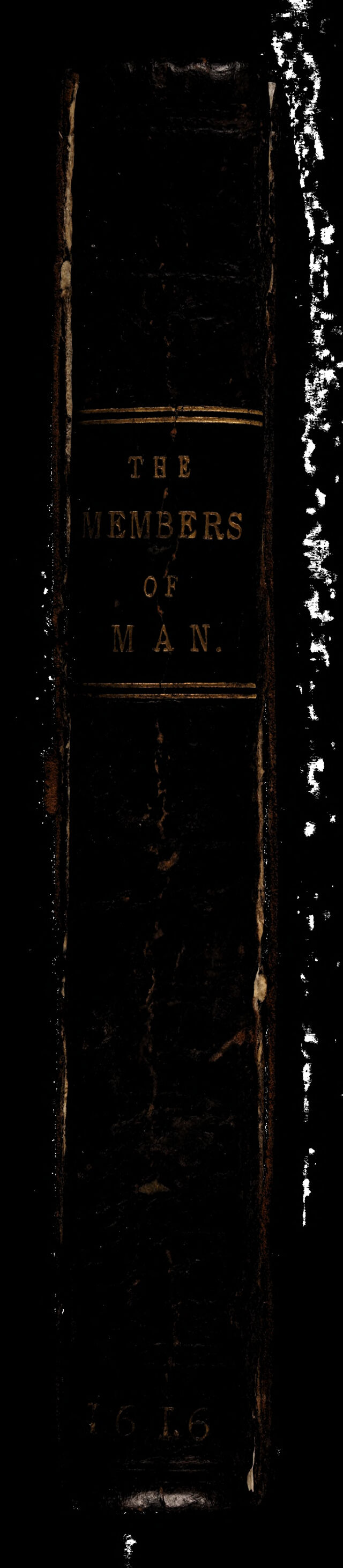 digitised image 2