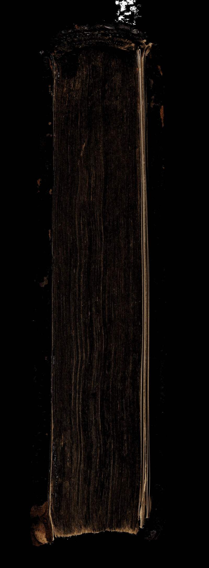 No text description is available for this image