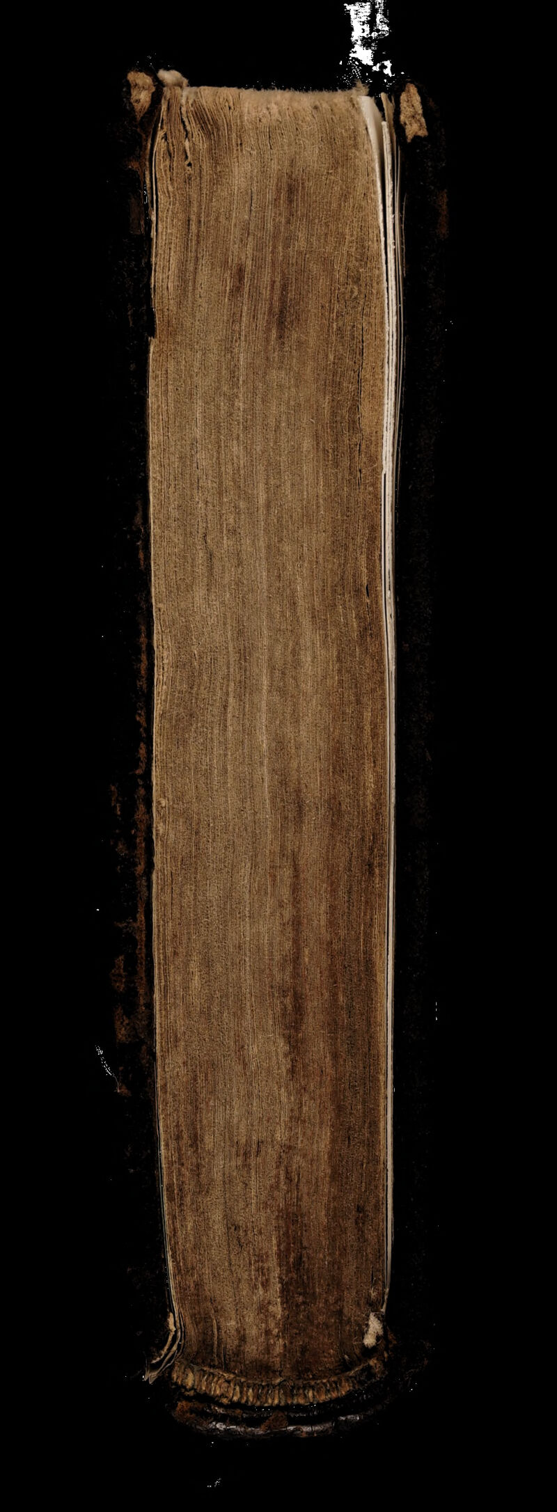 No text description is available for this image