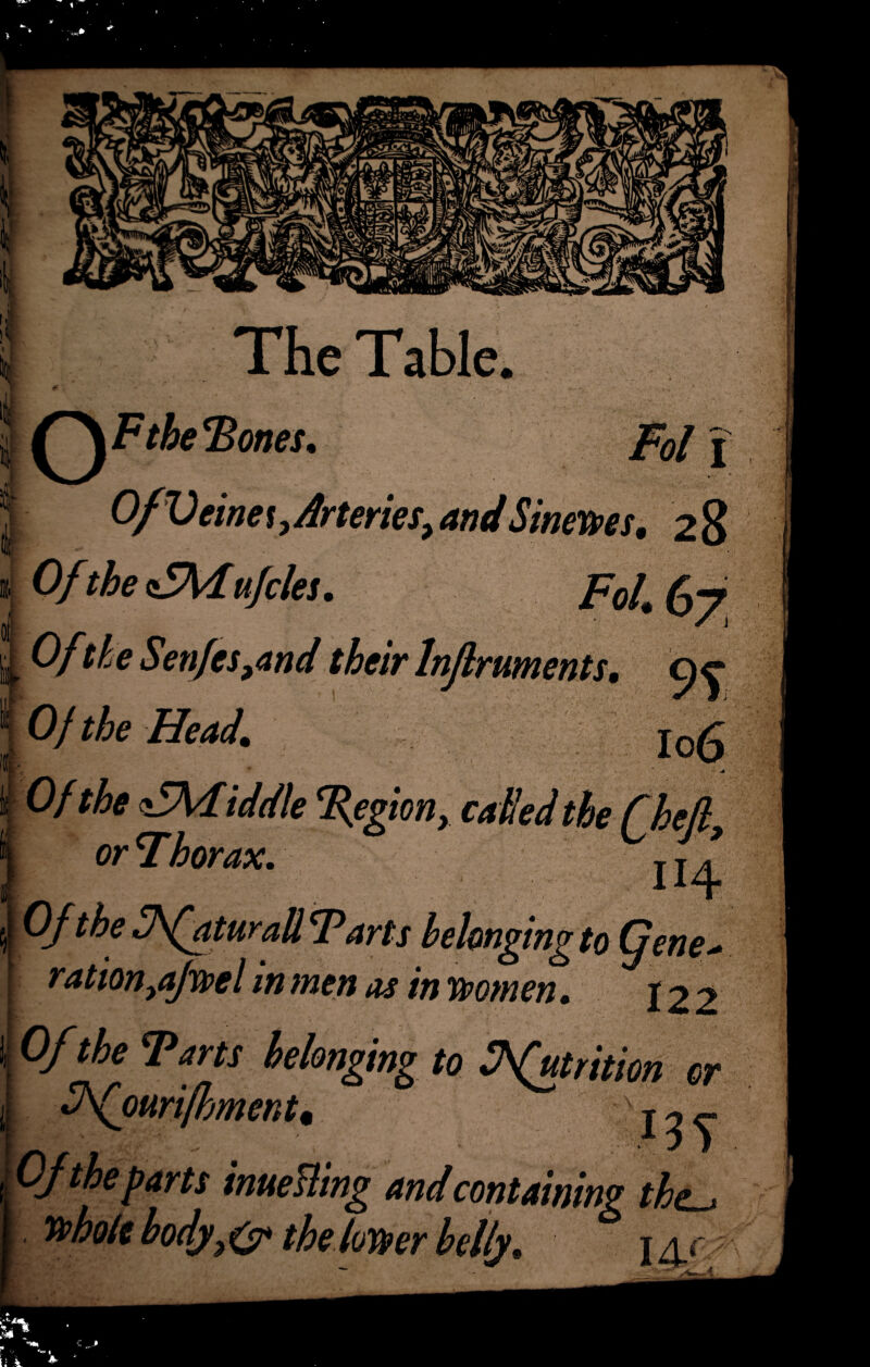 1 The Table. .1 1,:' A' S| I of the 'Bones. i O/Veina, Arteries, andSinerres, 28 ofl clS\lujcles Fol. 67’ Off/e Senfcs,and their lnftruments. 9c Of the Head. Of the ^Middle %eg, or T,borax. ijf OJ the fffaturall T?arts belonging to Gene-* ration yajwel in men as in women. 122 f the Tarts belonging to Nut, fhfouri/hment. r ■ *- ' W Of the parts inuefling and containing the-* whole body,£7* the lower belly. 14/