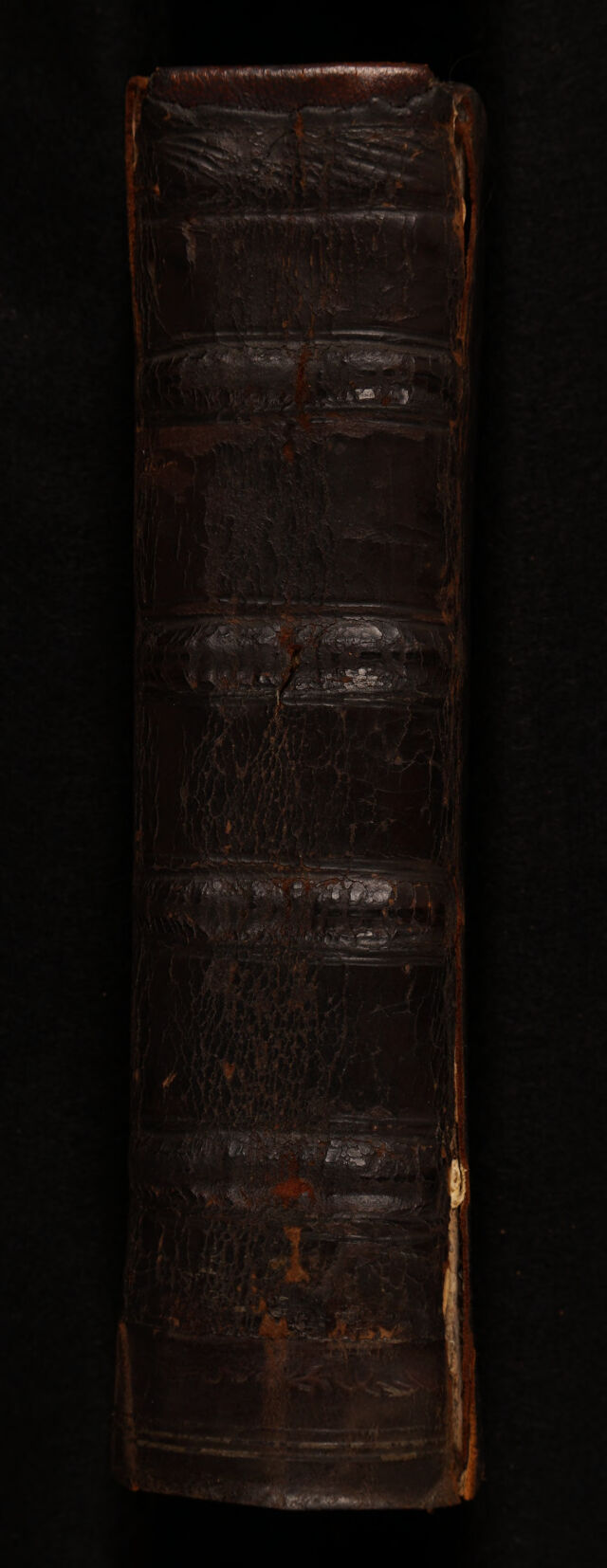 No text description is available for this image