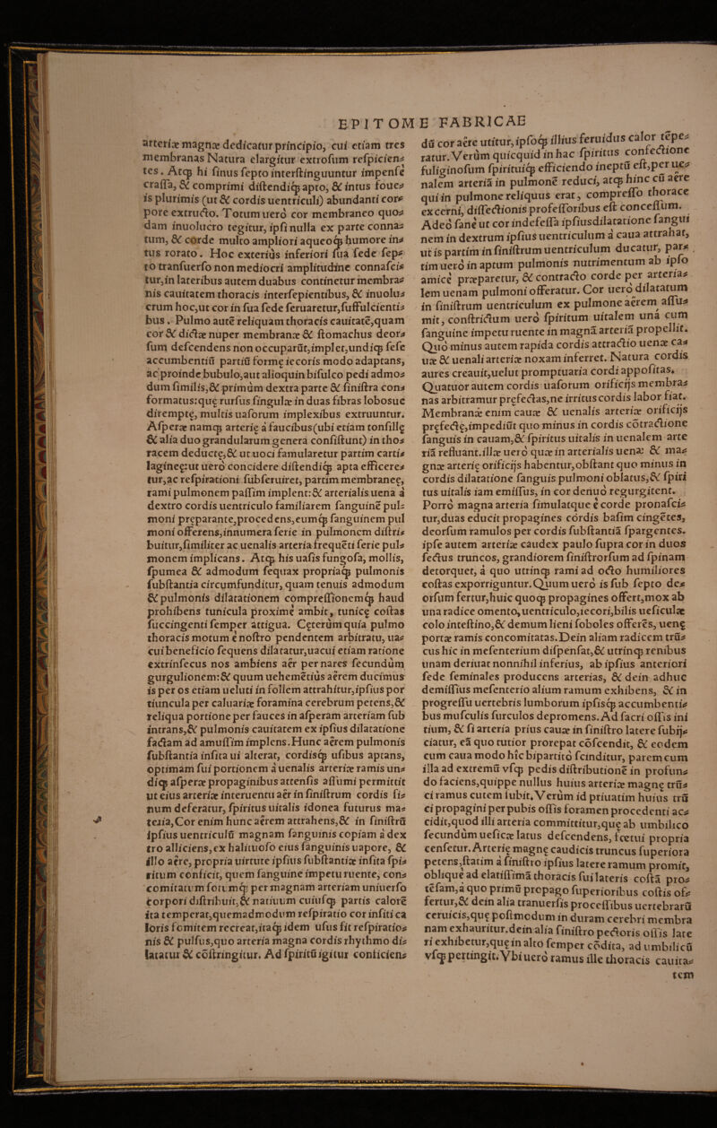 epitome fabricae arteriae magna» dedicatur principio, cui etiam tres membranas Natura elargitur extrofum rcfpicien* tes* Atcp hi finusfeptointerftinguuntur impenfe cra{Ta3 St comprimi diftendiepapto, &intus foue* is plurimis (ut St cordis uentriculi) abundanti cor* pore extrurto. Totum uero cor membraneo quo* dam inuolucro tegitur, ipfi nulla ex parte conna¬ tum, St corde multo ampliori aqueoqj humore in* tus rorato . Hoc exterius inferiori fua fede fep* totranfuerfo non mediocri amplitudine connafci* tur,in lateribus autem duabus continetur membra* nis cauitatem thoracis interfepientibus, St inuolu* erum hoc,uc cor in fua fede feruaretur,fuffulcienti* bus ♦ Pulmo aute reliquam thoracis cauitate,quam cor & diciae nuper membranae St ftomachus deor* fum defcendensnonoccuparut,implet,undiqp fefe accumbentur partiu form£ iecoris modo adaptans, ac proinde bubu!o,aut alioquin bifulco pedi admo* dum fimilis,& primum dextra parte St finiftra con* formatus:qu£ rurfiis fingulce in duas fibras lobosue dirempt^, multis uaforum implexibus extruuntur. Afpera? narnep arterie a faucibus (ubi etiam tonfillg 6C alia duo grandularum genera confiftunt) in tho* racem deducte,St ut uoci famularetur partim carti* lagine^utuero concidere diftendicp apta efficere* tur,ac refpirationi fubferuiret, partim membranee, rami pulmonem paffim implent:& arterialis uena a dextro cordis uentriculo familiarem fanguine pul¬ moni preparante.,procedens,eumcj3 fanguinem pul moni offerens,innumera ferie in pulmonem diftri* buitur,fimiliter ac uenalis arteria frequeti ferie pul* monem implicans, Atcp his uafis fungofa, mollis, fpumea St admodum fequax propriaqj pulmonis fubftantia circumfunditur, quam tenuis admodum Stpulmonis dilatationem comprefTioncmcp haud prohibens tunicula proxime ambit, tunicf coftas fuccingenti femper attigua. Ceterum quia pulmo thoracis motum e noftro pendentem arbitratu, ua* cuibeneficio fequens dilatatur,uacui etiam ratione extrinfecus nos ambiens aer per nares fecundum gurgulionem:& quum uehemetius aerem ducimus is per os etiam ueluti in follem attrahitur,ipfius por tiuncula per caluaria? foramina cerebrum petens, reliqua portione per fauces in afperam arteriam fub intrans,& pulmonis cauitatem ex ipfius dilatatione fadam ad amuffim implens.Hunc aerem pulmonis fubftantia infita ui alterat, cordiscp ufibus aptans, optimam fui portionem a uenalis arteria? ramis un* dicp afpera? propaginibus attenfis affumi permittit uteiusarteriaeinteruentuaeriniiniftrum cordis fi* mim deferatur, fpiritus tiitalis idonea futurus ma* teria,Cor enim hunc aerem attrahens,St in finiftru ipfius uentriculu magnam far.guinis copiam a dex tro alliciens,ex halituofo eius fanguinis uapore, St illo aere, propria uirttite ipfius fubftantia? infita fpi* ritum conficit, quem fanguine impetu ruente, con* comitatum foti mep per magnam arteriam uniuerfo torpori diftribuit,&natiuum cuiufqj partis calore ita temperat,quemadmodumrefpiratio corinfitica loris fomitem recreat,itacp idem ufus fit refpiratio* nis St pulfus,quo arteria magna cordis rhythmo di* latatur St coftringitur. Ad fpiritu igitur conlicien* du cor acre utitur, ipfo^ illius feruidus calor tepe, ratur. Verum qufcquid in hac fpiritus contectione fuliginofum fpirituiqj efficiendo ineptu elt,pcr ucj nalem arteria in pulmone reduci, atcp hinc cu aere qui in pulmone reliquus erat, compreifo thorace excerni, differtionis profefforibus eft conceflum. Adeo faneut cor indefeffa ipfiusdilatatione fangui nem in dextrum ipfius uentriculum a caua attrahat, ucis partim in finiftrum uentriculum ducatur, par# tim uero in aptum pulmonis nutrimentum ab iplo amice prxparetur, & contrado corde per arteria# lemuenam pulmoni offeratur. Cor uero dilatatum in finiftrum uentriculum ex pulmone aerern alfu# mit, conftricftum uero ipiritum uitalem una cum fanguine impetu ruente in magna.arteria propellit* Quo minus autem rapida cordis attracftio uena? ca* ua? St uenali arteria? noxam inferret. Natura cordis aures creauit,uelut promptuaria cordi appofitas* Quatuor autem cordis uaforum orificijs membra* nas arbitramur prefecias,ne irrituscordis labor fiat. Membrani enim caua? St uenalis arteria? orificijs pr|fecflg,impediut quo minus in cordis cotracflione fanguis in cauam,& fpiritus uitalis in lienalem arte ria refluant.illa? uero qua? in arterialis uena? St ma* gnce arterie orificijs habentur,obftant quo minus in cordis dilatatione fanguis pulmoni oblatus,& fpiri tus uitalis iam emiffus, in cor denuo regurgitent. Porro magna arteria fimulatque e corde pronafei* tur,duas educit propagines cordis bafim cingetes, deorfum ramulos per cordis fubftantia fpargentes. ipfe autem arteria? caudex paulo fupra cor in duos fedus truncos, grandiorem finiftrorfum ad fpinam detorquet, a quo utrincp rami ad otfto humiliores coftas exporriguntur.Quum uero is fub fepto de* orfum fertur,huic quocp propagines offert,mox ab una radice omento,uentriculo,iecori,bilis ueficulac colo inteftino,&' demum lieni foboles offeres, uen$ porta? ramis concomitatas.Dein aliam radicem tru* cus hic in mefenterium difpenfat,& utrincp renibus unam deriuat nonnihil inferius, ab ipfius anteriori fede feminales producens arterias. St dein adhuc demiffius mefencerio alium ramum exhibens, St in progreffu uertebris lumborum ipfiscp accumbenti* bus mufculis furculos depromens. Ad facri offis ini tium, St fi arteria prius caua? in finiftro latere fubij* ciatur, ea quo tutior prorepat cofcendit. St eodem cum caua modo hic bipartito fcinditur, parem cum illa ad extremu vfcp pedis diftributione in profun* do faciens,quippe nullus huius arteria? magn^ tru* ci ramus cutem iubit* Verum id priuatim huius tru ci propagini per pubis offis foramen procedenti ac* cidit,quod illi arteria committitur,qu£ ab umbilico fecundum uefica? latus defeendens, fretui propria cenfetur. Arterie magn? caudicis truncus fuperiora petens,ftatim a finiftro ipfius latere ramum promit, oblique ad elatiftima thoracis fui lateris cofta pro* tefam,aquoprimupropagofuperioribus coftisof* fertur,& dein alia tranuerfis proccifibus uertebraru ceruicis,quf poftmcdum in duram cerebri membra nam cxhauritur.dein alia finiftro pecftoris otiis late ri exhibetur,qu£ in alto femper codita, ad umbilicu vfcj pertingit*Vbiuero ramus ille thoracis cauita* tem \ #