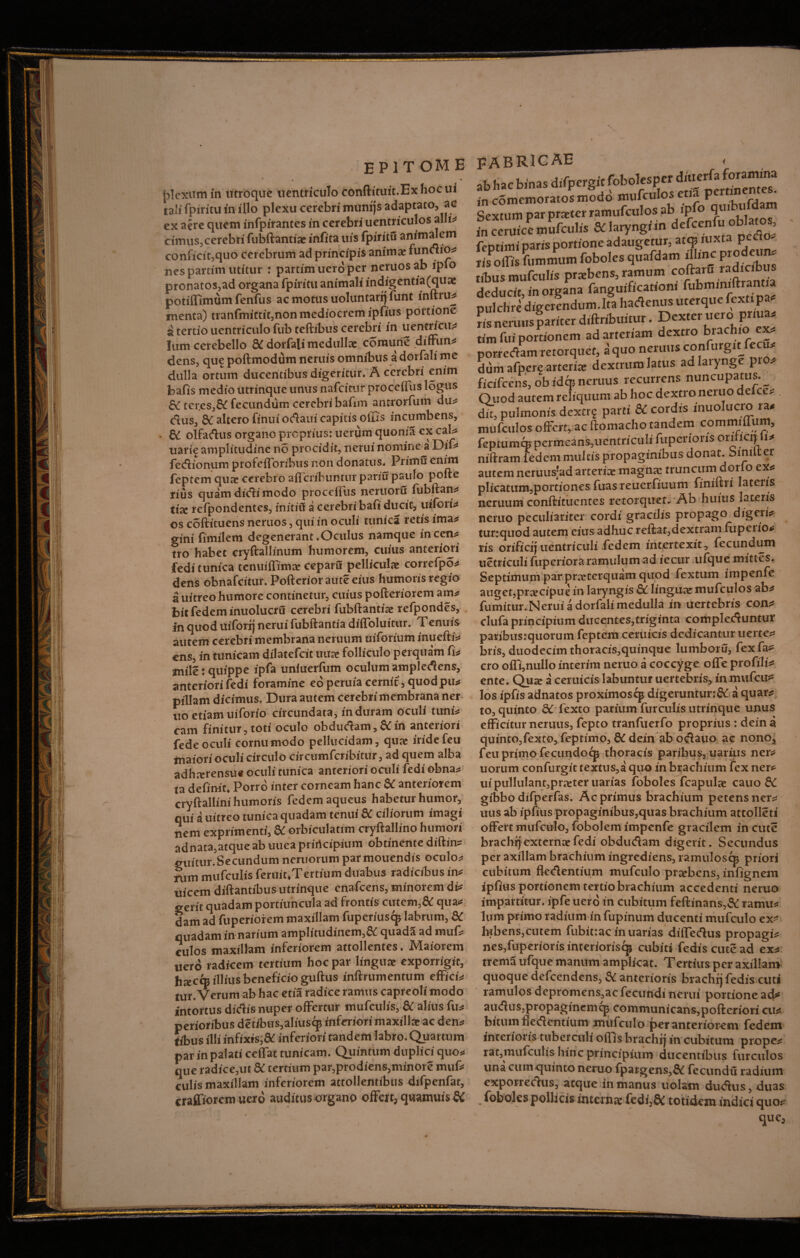 epit ome flexum in utroque uentriculo conftituit.Exhocui tali fpiritu in illo plexu cerebri munijs adaptato, ac ex aere quem infpirantes in cerebri uentriculos alit* cimus, cerebri fubftantiae infita uis ipiritu animalem conficit,quo cerebrum ad principis animae functio* nes partim utitur : partim uero per neruosab ipio pronatos,ad organa fpiritu animali indigentia(quae potiffimumfenfus ac motus uoluntarrj funt initru* menta) tranfmittit,nonmediocrcmipfius portione a tertio uentriculo fubteftibus cerebri in uencricu* lum cerebello & dorfali medullae coraune diffun* dens, que poftmodum neruis omnibus adorfali me dulla ortum ducentibus digeritur. A cerebri enim bafis medio utrinque unus nafeitur proedfus logus t er.es,8£ fecundum cerebri bafim antrorfum du* dius, SC altero finui odlaui capitis offis incumbens, . &C olfatftus organo proprius: uerum quonia ex cal* uarie amplitudine no procidit, nerui nomine a Dif* fecflionum profefforibus non donatus. Primu enim feptem quae cerebro alTcribuntur pariu paulo polle rius quam didli modo proceffus neruoru iiibftan* tix refpondentes, initui a cerebri bafi ducit, uifori* oscoftituensneruos,quiinoculi tunica retis ima* gini fimilem degenerant.Oculus namque incena tro habet cryftallinum humorem, cuius anteriori fedi tunica tenuiffimae Ceparu pelliculae correfpo* dens obnafeitur. Pofterior aute eius humoris regio a uitreo humore continetur, cuius pofteriorem aiiu bit fedem inuolucru cerebri fubftantiae refpondes, in quod uiforij nerui fubftantia dilToluitur. Tenuis autem cerebri membrana neruum uiforium inuefti* ens, in tunicam dilatefcit uuac folliculo perquam fi* mile: quippe ipfa uniuerfum oculum ampledlens, anteriori fedi foramine eo peruia cernit , quod pu* pillam dicimus. Dura autem cerebri membrana ner uo etiam uiforio circundata, in duram oculi tuni* cam finitur,toti oculo obdudlam, 5Cin anteriori fedeoculi cornumodo pellucidam, qure iridefeu maiori oculi circulo circumfcribitur, ad quem alba adhterensue oculi tunica anteriori oculi fedi ©bna* ta definit. Porro inter corneam hanc SC anteriorem crvftallini humoris fedem aqueus habetur humor, qui a uitreo tunica quadam tenui & ciliorum imagi nem exprimenti, & orbiculatim cryftallino humori adnata,atque ab uuea priricipium obtinente diftin* guitur.Secundum neruorum parmouendis oculo* nim mufculis feruit.Tertium duabus radicibus in* ilicem diftantibus utrinque enafeens, minorem di* gerit quadam portiuncula ad frontis cutem,& qua* dam ad fuperiorem maxillam fuperiusqj labrum, 8C quadam in narium amplitudinem,& quada ad muf* culos maxillam inferiorem attollentes. Maiorem uero radicem tertium hoc par linguae exporrigit, htecm illius beneficio guftus inftrumentum effici* tur. Verum ab hac etia radice ramus capreoli modo intortus ditflis nuper offertur mufculis, & alius fu* perioribus deabus,aliuscp inferiori maxilla ac den* tibus illi infixis;& inferiori tandem labro. Quartum par in palati ceffat tunicam. Quintum duplici quo* que radice,ut & tertium par,prodiens,minore muf* culis maxillam inferiorem attollentibus drfpenfat, craffiorem uero auditus organo offert, quamuis SC FABRICAE '• < ab hac binas difpergit fobolesper diuerfa foramina in comemoratosmodo mufculos ena. Sextum par praeter ramufculos ab ipfo in ceruice mufculis & laryngi in defcenfuobl^os, feptimi paris portione adaugetur, atqjiuxta ped - risPoffis fummum foboles quafdam illinc P>odeun* Sus mufculis praebens, ramum coftaru radicibus deducit, in organa fanguificationi fubminiftrantia pulchre digerendum.Ita hadenus uterque fex» pa* ris nm «s pariter diftribuitur. Dexter uero pnua* rim fui portionem ad arteriam dextro brachio ex* porredam retorquet, a quo neruus confurgit fecu* dtim afpcr? arteriae dextrum latus ad larynge pro* ficifcens, ob id63 neruus recurrens nuncupatus. _ Quod autem reliquum ab hoc dextro neruo deice* dit, pulmonis dextrg parti SC cordis inuolucro ra* mufculos offert, ac ftomacho tandem commiffum, fcptumqj permeans,uentriculi fuperioris orihcqfi* niftram fedem multis propaginibus donat, binnter autem neruusjad arteriae magnae truncum dorfo ex* pheatum,portiones fuas reuerfiuum finiftri latens neruum conftitucntes retorquete Ab huius lateris neruo peculiariter cordi gracilis propago digeri* tunquod autem eius adhuc reflat,dextram fuperio* ris orificif uentriculi fedem intertexit^ fecundum uetriculi fuperiora ramulum ad iecur ufque mittes. Septimum par praeterquam quod fextum impenfe augetypr^cipuc in laryngis & lingua? mufculos ab* fumitur.Nerui a dorfali medulla in uertebris con* clufa principium ducentes,triginta complebuntur paribusrquorum feptem ceruicis dedicantur uerte* bris, duodecim thoracis,quinque lumboru, fexfa^ cro offi,nullo interim neruo a coccyge offe profili* ente. Qu^e a ceruicis labuntur uertebris, inmufeu*5 los ipfis adnatos proximos^ digeruntur:&: a quar* to, quinto dC fexto parium furculis utrinque unus efficitur neruus, fepto tranfuerfo proprius: dein a quinto,fexto, feptimo, &dein abociauo ac nono, fcu primo fecundocp thoracis paribus, narius ner* uorum confurgit textus,a quo in brachium fex ner* uipullulant,pra:ter uarias foboles fcapulae cauo St gibbo difperfas. Ac primus brachium petens ner* uus ab ipfius propaginibus,quas brachium attolleti offertmufculo, fobolemimpenfe gracilem incute brachrj externae fedi obdudam digerit. Secundus per axillam brachium ingrediens, ramuloscp priori cubitum Dedentium mufculo praebens, infig nem ipfius portionem tertio brachium accedenti neruo impartitur. ipfe uero in cubitum feftinans,& ramu* lum primo radium in fupinum ducenti mufculo ex* lwbens,cutem fubittac in uarias diffedus propagi* nes,fuperioris interiorisqj cubiti fediscutead ex* trema ufque manum amplkat. Tertius per axillam quoque defccndens, & anterioris brachij fedis cuti ramulos depromens,ac fecundi nerui portione ad* au<flus,propagincmcp communicans,pofteriori cu* bitum hedlentium mufculo per anteriorem fedem interioris tuberculi offis brachij in cubitura prope* rat,mufculis hinc principium ducentibus furculos una cum quinto neruo fpatgens,& fecundu radium exporrecftus, atque in manus uolam dudtus, duas . foboles pollicis interna: fedi,& totidem indici quo* 0 m »