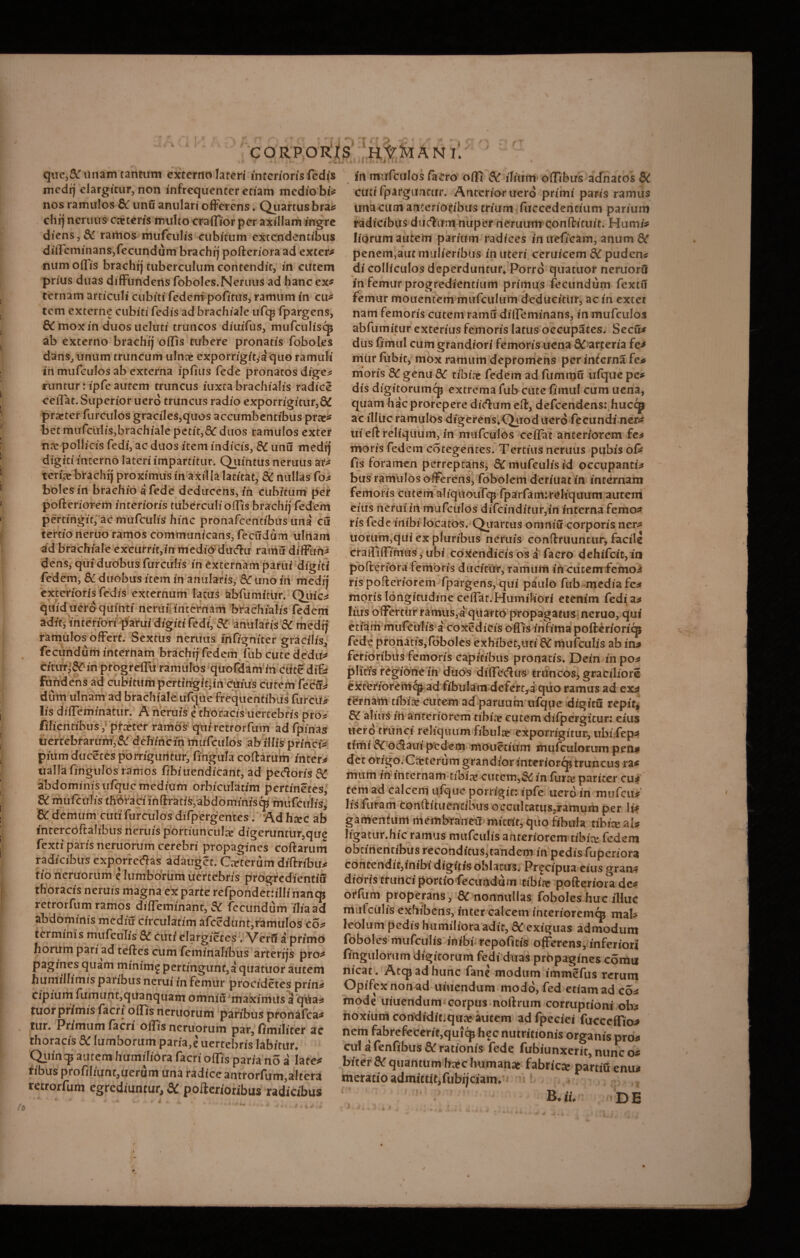 qtie^ unam tantum externo lateri interioris fedis medij elargitur, non infrequenter etiam medio bi# nos ramulos Si unu anulari offerens. Quartus bra# chrj neruus caeteris multo craffior per axillam ingre diens,& ramos mufculis cubitum extendentibus diiTcminans,fecundum brachij pofteriora ad extera numofTis brachij tuberculum contendit, in cutem prius duas diffundens foboles.Neruus ad hanc ex# ternam articuli cubiti fedempofitus, ramum in cu# tem externe cubiti fedis ad brachiale ufq3 fpargens, & mox in duosuelutr truncos diuifus, mufculiscp ab externo brachij offis tubere pronatis foboles dans, unum truncum ulna? cxporrigit,a quo ramuli in mufculos ab externa ipfius fede pronatos dige# runturripfeautem truncus iuxtabrachialis radice ceifat. Superior uero truncus radio exporrigitur,8£ prarter furculos graciles,quos accumbentibus prte# bet mufculis,brachiale petit,Si duos ramulos exter na? pollicis fedi, ac duos item indicis, Si unu medij digiti interno lateri impartitur. Quintus neruus ar# teria? brachij proximus in axilla latitat, Si nullas fo# bolesin brachio a fede deducens, in cubitum per pofteriorem interioris tuberculioffis brachij fedem pertingit, ac mufculis hinc pronafeentibus una cu tertio neruo ramos communicans, fecudum ulnam ad brachiale excurrit,in medio dudu ratriS diffun# dens, qui duobus furculis in externam parui digiti fedem, Si duobus item in anularis, & uno in medij exterioris fedis externum lacus abfumitur. Qtiic# quid uero quinti nerui internam brachialis fedem adit, interiori parui digiti fedi, Si anularis Si medij ramulos offert. Sextus neruus infigniter gracilis, fecundum internam brachij fedem fub cute dedu# citur,& in progreffu ramulos quofdam in ciite iffi fundens ad cubitum pertingit,in cuius cutem fecu# dum ulnam ad brachiale ufcjue frequentibus furcu# lis diffeminatur. A neruis e thoracis uertebris pro# filientibus, pra?ter ramos qui retrorfum ad fpinas uertebrarum,& dehinem mufculos abillis princi# pium duceres porriguntur, fingula codarum intere tialla fingulos ramos fibiuendicant, ad pecoris Si abdominisufqucmedium orbiculatim pertinetes, Si mufculis thoraci inftratis,abdominisq5 mufculis. Si demum cuti furculos difpergcntes. Ad hxc ab intercoftalibus neruis portiuncula digeruntur,que fexti paris neruorum cerebri propagines coftarum radicibus exporredas adauget. Gafterum diftribu# tio neruorum e lumborum uertebris progfedientiu thoracis neruis magna ex parte refpondenilli nana retrorfum ramos difTeminant, Si fecundum ilia ad abdominis mediu circulatim afccdunt,ramulos eoa terminis mufculis Si cuti elargietes, Verfr a primo horum pari ad teftes cum feminalibus arterijs pro# pagines quam minimg pertingunt,a quatuor autem humillimis paribus nerui in femur procidetes prin# cipium fumunt,quanquam omnhrmaximits a qiia# tuor primis f^cri offis neruorum paribus pronafea# tur. Primum facri offis neruorum par, fimilicer ac thoracis Si lumborum paria,e uertebris labitur. Qiiincp autem humiliora facri ofTis paria no a late# fibus profiliunt,uerum una radice antrorfum,a!tera retrorfum egrediuntur, & pofterioribus radicibus in mufculos facro olfi Si iliurrf» offibtrs adnatos Si cuti fpargunimr. Ancerioruerd primi paris ramus una cum anterioribus trium fuccederitium parium radicibus dticftiim nuper neruum conftituit. Humi# liorum autem parium radices inueficam, anum Si penem,aut mulieribus in uteri ceruicem Si puden* di colliculos deperduntur* Porro quatuor neruoru in femur progredientium primus fecundum fextu femur mouentem mufculum deducitur, ac in exter nam femoris cutem ramu diffeminans, in mufculos abfumitur exterius femoris latus occupates. Secu# dus fimul cum grandiori femoris uena Si arteria fe# nriur fubit, mox ramum depromens per interna fe# moris Si genu di tibiae fedem ad fummu ufque pe# dis digitorumcp extrema fub cute fimul cum uena, quam hac prorepere dictum eft, defeendens: huccp ac illiic ramulos digerens* Quod uero fecundi ner# tii eft reliquum, in mufculos ceffat anteriorem fe# moris fedem cotegentes. Tertius neruus pubis ofe fis foramen perreptans, Si mufculis id occupanti# bus ramulos offerens, fobolem deriuat in internam femoris cutem aliquoufcp fparfam:reliquum autem eius nerui in mufculos difcinditur,in interna femo# ris fede inibi locatos. Quartus omniu corporis ner# uorum,qui ex pluribus neruis confhtiuntur, facile cralfiffimus, ubi coxendicis os a facro dehifcit, in pofteriora femoris ducitur, ramum in cutem femo# rispofteriorem fpargens, qui paulo fub media fe# moris longitudine ceifat.Humiliori etenim fedi a# Iius offertur ramus,a quarto propagatus neruo, qui etiam mufculis a coxedicis offis infima pofterioricp fede pronatiSjfoboles exhibet,uti Si mufculis ab in# ferioribus femoris capitibus pronatis. Dein in po# plicis regione in duos diifcdus truncos, graciliore exteriorem^ ad fibulam defert,a quo ramus ad ex# ternam tibia? cutem ad partium ufque digitu repit. Si alius in anteriorem tibia? cutem difpergitur: eius uero trunci reliquum fibula? exporrigitur, ubi fep# timi flCo&aui pedem mouetium mufeulortxm pen# det origo.Ca?terum grandior interiorcp truncus ra# mum in internam tibia? cutcm,& in furte pariter cu# tem ad calcem ufque porrigit: ipfe nero in mufeu# lis furam conftituencibus occulcatus,ramum per li# gamentum merhbraneiT mittit, quo fibula tibia? ai# liga tur. hic ramus mufculis anteriorem tibia? fedem obtinentibusrecondicus,tandem in pedis fuperiora contendir,inibi digitis oblatus. Pr^cipua eius gran# dioris trunci portio fecundum tibte pofteriora dc# orftim properans, Si nonnullas foboles huc illuc mufculis exhibens, inter calcem interiorem^ mab leolum pedis humiliora adit, SC exiguas admodum foboles mufculis inibi repofitis offerens, inferiori fingulorum digitorum fedi duas propagines cornu nicat. Atcpadhunc fane modum immefus rerum Opifex non ad umendum modo, fed etiam ad co# mode umendum corpus noftrum corruptioni ob# noxium condidit;qua? autem adfpeciei fucccffio# nem fabrefeeerit,quicp hec nutritionis organis pro# cui a fenfibus Si rationis fede fubiunxerit, nunc o# biter &: quantum haec humanae fabricce partiu enu# meratio admittit,fubijciam*