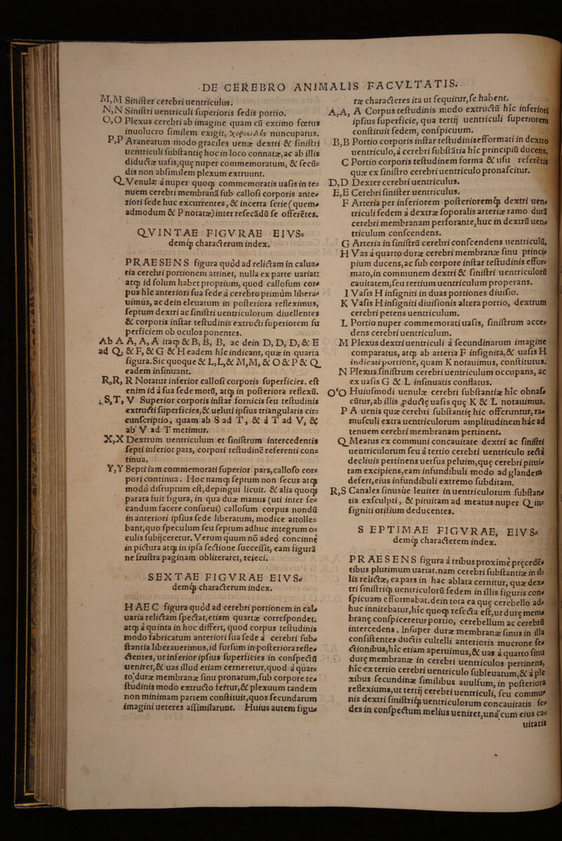 Sinifter cerebriucntricuius. N3N biniftriuentriculi fuperioris fedis portio. 0,0 Plexus cerebri ab imagine quam cu extimo foetus inuolucro fimilem exigit, nuncupatus. Aranearum modo graciles uence dextri & finiftri uentriculi fubftantiehocin loco connatac,ac ab illis diducar iiaOs^que nuper commemoratum, 8C fecfis dis non abfimilem plexum extruunt. QjVcnula: a nuper quocp commemoratis uafis in te* nuem cerebri membrana fub callofi corporis ante* liori fede huc excurrentes, SC incerta ferie(quem* admodum &■ P notatar)inter refecadu fc offerctes* QVINTAE FIGVRAE EIVS* demcp charaderum index. '  K ^ - fc. ^ -. • «• i JL k k i - a* * P R AE SE N S figura quod ad relidam in calua* ria cerebri portionem attinet, nulla ex parte uariat: atep id folum habet proprium, quod callofum cor* pus hic anteriori fua fede a cerebro primdm libera* trimus, aedein eleuatum in pofteriora refleximus, feptum dextri ac finiftri uentriculorum diuellentes SC corporis inftar teftudinis extrudi fuperiorem fu perficiem ob oculos ponentes. Ab A A, A, A itacp & B, B, B, ac dein D, D, D, & E ad Qj&CF^StG &H eadem hic indicant, quae in quarta figura. Sic quoque & L,L,& M,M, &O&P&Q. eadem infinuant. R,R, R Notatur inferior callofi corporis fuperficies. eft enim id a fua fede moti!, atep in pofteriora reflexu. i.S,T,V Superior corporis inftar fornicis feu teftudinis extrudi fuperficics,& ucluti ipfius triangularis cir* cunfcriptio, quam ab S ad T, dC i T ad V, £< ab V *d T metimur. X, X Dextrum uentriculum et finiftrum intercedentis fepti inferior pars, corpori teftudine referenti con* tinua. Y, Y Septiiamcommemoratifiiperior pars,callofo cors pori continua. Hoc namcp feptum non fecus atqj modo difruptum eft,depingui licuit. &aIiaquoqj parata fuit figura, in qua duae manus (uti inter fc* candum facere confueui) callofum corpus nondfi in anteriori ipfius fede liberatum, modice attolle* bant,quo fpeculum feu feptum adhuc integrum o* culis fubijceretur. Verum quum no adeo concinne in pidura atep in ipfa fedionc fucceffit, eam figura ne fruftra paginam obliceraref, rcieci. SEXTAE FIGVRAE EIVS* demqj charaderum index. - i A i X .. t * i f * J . 1 j 1 »* ** 1 . r 1 ^ H AE C figura quod ad cerebri portionem in cal* uaria relidam fpedat,etiam quartae corrcfpondct* atep a quinta in hoc differt, quod corpus teftudinis modo fabricatum anteriori fua fede a cerebri fub* Itantia liberauerimus,id furfiimin pofteriorarcfle* dentes, ut inferior ipfius fuperficies in confpeda ueniret3& uasillud etiam cerneretur,quod aquar* to[durac membranae finu pronatum,fub corpore te* ftudinis modo extrudo fe?tur,& plexuum tandem non minimam partem confiituit,quos fecundarum imagini ucteres affimilarunt. Huius autem figu* tte charaderes ita ut fequitin*,fe habent.^ ?■ A,A, A Corpus teftudinis modo cxtrudfi hic inferiori ipfius fuperficie, qua tertrj uentriculi fuperiorem conftituit fedem., confpicuum. ^ B,B Portio corporis inftar teftudinisefformati in dextro tientriculo,a cerebri fubftatia hic principifi ducens. C Portio corporis teftudinem forma 8C nfii referetis qure cx finiftro cerebri uentriculo pronafeitur. D,D Dexter cerebri ucntriculus. E,E Cerebrifinifter uentriculus. F Arteria per inferiorem pofteriorcmcp dextri uttu triculi fedem a dextra: foporalis arteriae ramo duri cerebri membranam perforante,huc in dextrfi uen* triculum confcendens. G Arteria infiniftru cerebri confcendens uentriculu* H Vas a quarto durat cerebri membrana: finu princi* pium ducens,ac fub corpore inftar teftudinis effora mato,in communem dextri & finiftri uentriculoru cauitatem,feu tertium uentriculum properans. | Vafis H infigniti in duas portiones diuifio. K Vafis H infigniti diuifionis altera portio, dextrum cerebri petens uentriculum. L Portionuper commemorati uafis, finiftrum acce* dens cerebri uentriculum. M Plexus dextri uentriculi a fecundinartim imagine comparatus, atep ab arteriaF infignita,& uafis H indicatiporrione, quam Knotauimus, conftitutus; N Plexus finiftrum cerebri uentriculum occupans, ac ex uafis G SC L infinuatis conflatus. 0*0 Huiufmodi uenulae cerebri fubftantiat hic obnaf* cfitur,ab illis pdud? uafis qu^ K St L notauimus. P A uenis quae cerebri fubftantiehic offeruntur, ra# mufculi extra uentriculorum amplitudinemhacad tenuem cerebri membranam pertinent* QJVIeatus ex communi concauitate dextri ac finiftri uentriculorum feu a tertio cerebri uentriculo redi decliuis pertinens uerfus peluim,quf cerebri pitui* tam excipiens,eam infundibuli modo ad glande!» defert,eius infundibuli extremo fubditam. R,S Canales finusue leuiter in uentriculorum fubftanrf tia exfculpti, & pituitam ad meatus nuper Qjn? figniti orifium deducentes. S EPTIMAE FIGVRAE, EIVS* demcp charadercm index. * -*4 * y P R AE SENS figura a tribusproxime prcccdc* tibus plurimum uariat.nam ccrcbri fubftantite in ii* lis religari ea pars in hac ablata cernitur, qu» dex* tri iniltiicp uentriculoru fedem in illis figuris con* fpicuam efformabat.dein tota ea que cerebello ad* hucinnitebatur,hic quoqp refedla eft,utduremem* brang confpicereturportio, cerebellum ac cerebnJ intercedens. Infuper durat membrana ftnus in illa confiltcnte* ductis cultelli anterioris mucrone fe* «ionibus,htc etiam aperuimus,Sc uas a quarto finti dur^ membranae in cerebri uentriculos pertinens, hic ex tertio cerebri uentriculo fubleuatum,&: a ple sibus fecundinac fimilibus auulfum, in pofteriora reflexiumi,ut tertrj cerebri uentriculi, feu commu* nis dextri fimftricp uentriculorum concauitatis (e* des m confpedtum melius «enuet,una cum cius ca* uicatis %