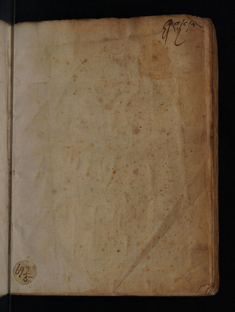 No text description is available for this image