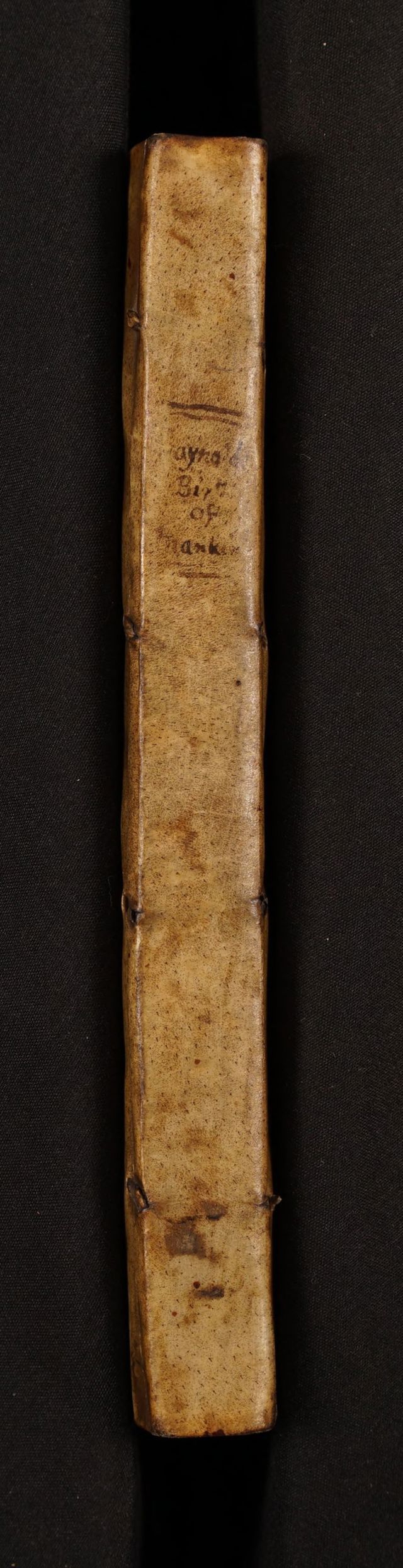 digitised image 2