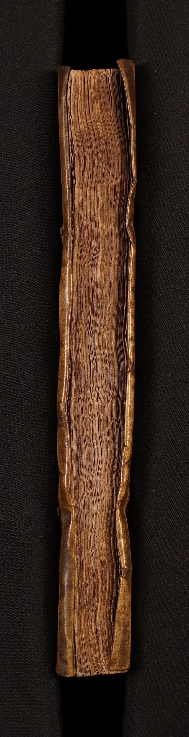 digitised image 3