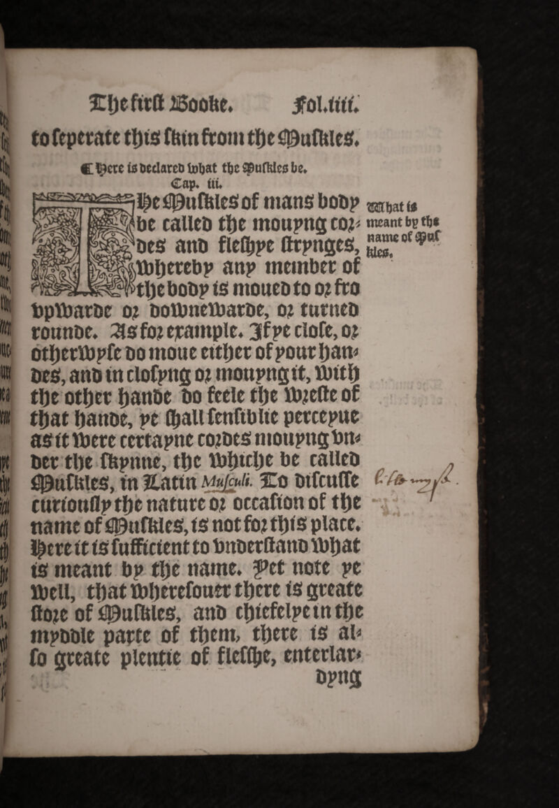 k */J, * « i li Eljeftrd iSoofce. jfoUtii. to fcperate tljts ftun from tt) e S0uRileS. C tycte id Declared tobat ttjc spufklcs be* Cap* iiu $e *I0it Rues of mans boDp matu be calieb ttjc IftOUPttjJ CO^ meant bp tbt tits attb fleftpe fltpnges, tbRetebp any member of _the boDp f s moueo to 02 fro bpttwrbe 02 DoUmcvbaroe, 02 tnrneo rounoe. 3s ft>2 trample. 3f pc clofe,02 otljcrVbpfc do moue cttfjct of pour Dam Dts, ano in ciofptig 02 moupngit, M>ith the other hanbe Do feele the ttyefte of that hanbe, pe (Jail fenftb lie pertepue asit tbere certapne co2Des moupngbm bet the Rsprnte, ttjc U»f2tclje be calleD , fiJ9utUles, in JCattn mu/cuH. mo DtfcntTe tA-—y' ttmonflp tf)e nature 02 otcafion of tt)C *.v_ ' name of fiDnfHles, fs not ftn tt)i's plate. I^ert it is fufficient to bnDerftano \bhat is meant bn tljc name, ftt note pe well, that ibherefonet there is greate Rote of fiputbles, anD cfjtefclpetntlje mpbDle parte of them, there is ab fo greate plentie of flefQje, enteriar* ‘ •- Dpng