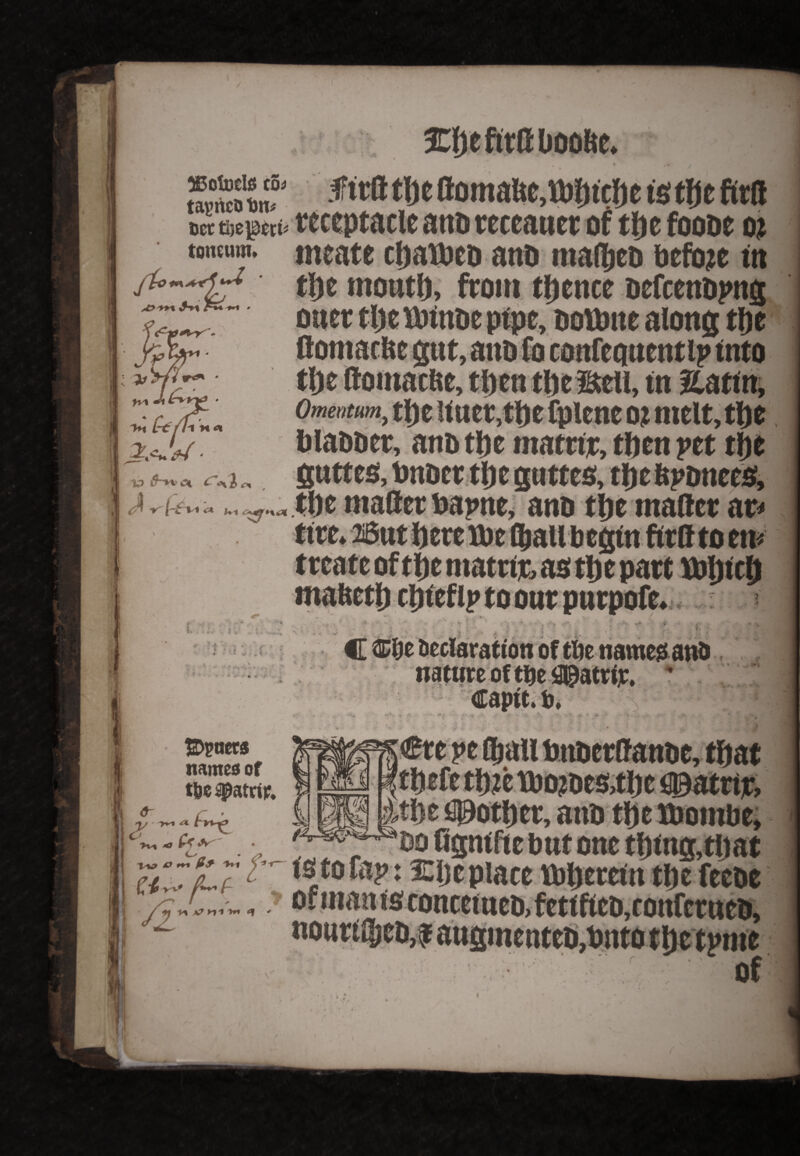 . \J EfKfttaiiOOKc ♦ U SS'LT flc(i *ft* flomaftc,U)i)tcl)e is the fits Dec tije^ert* receptacle atn> receaner of the foooe ot tomum. meate chatbeb anb mal&eb before tn the mouth, from thence befcetibpng Otter thettrtnbe pipe, bottme along the flomacltc gut, anb fo coitfeciuentip into We llomaclte, then the Sell, tn Hattn, Omentum9 thettuet,thefpleneot melt,the blabber, anD tbe matrtr, then pet the gwttes, intoct tlje guttes, the fepbneed, tfte mailer bapne, anb the mailer at* mafteth cljicfip to our purpofe. v*w*> <■ *- 1 « ! • * - , * -4 mi r < captt. &♦ Sauers named of t&e #atrir. O' r • ®re pe (ball bnberllanbe, that ;ltl)e ©other, aitb the tboinbe, bo Cgntfte but one thing,that  ts to fap: £lj e place' mjerettf tijefeebe ^ * **'*>*' umjiiuu ujt ItVUt 7 oi man is cottcettteb, fettftcb,confcrucb. notirt l$eb,f augmenteb,bnto t&e tpme of .'V