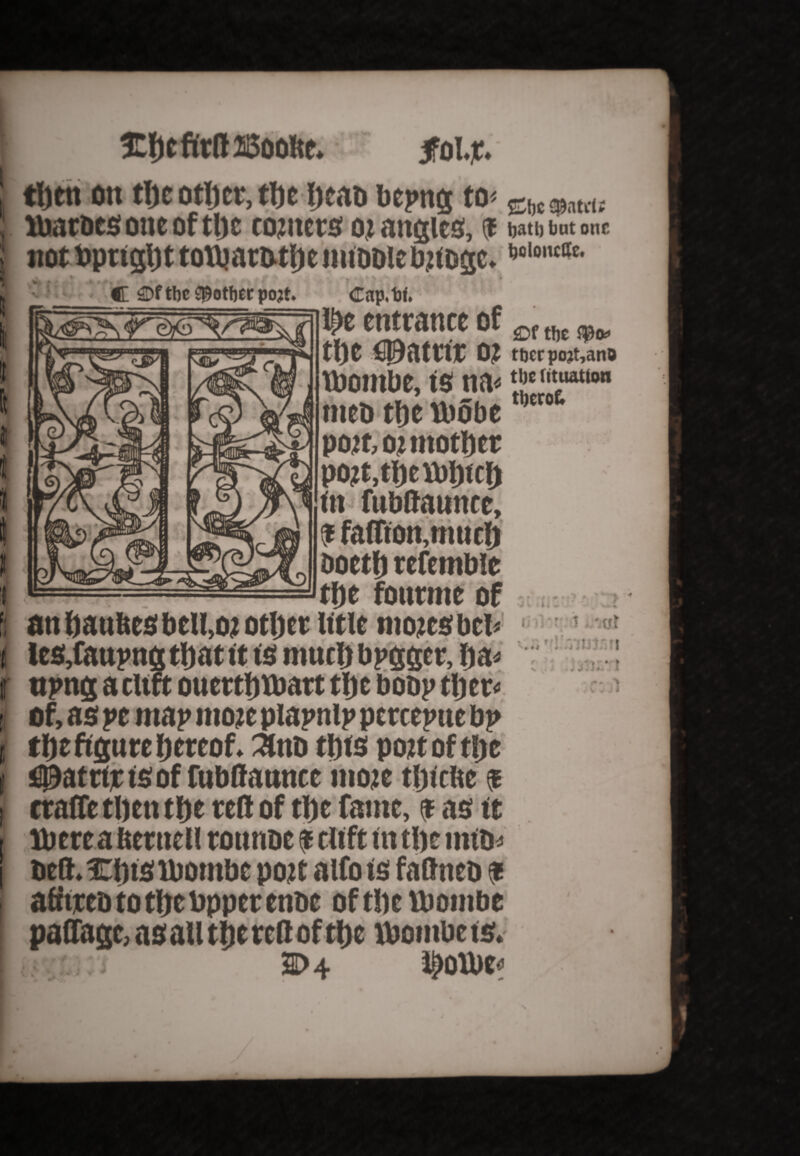 i then on the other, the Ijtao bepngt0< g*m*u lbatbcs one of the romers ot angles, (t wu tint one not toprtght totojattothe nubble bttoae. t,oloclIe' C 3Df the pother potf. _ _» <Tap,W. r i[)c entrance of ^ tl)e ^ ttyt €0atttjT 0£ tt)erpo?t,an9 tbombe, t$ M* met) tfje tbobe * pojt, or mother potMheitohtch tn fubftaimcc, ® faflton,much boetfj refemble the fonrnte of an haultes bell,ot other title mores bel les,faupng that tt is much bpgger, ha* npng a clift ouerthvbart the bot>p tljcr* of, as pe map more piapnip percepne bp theftgure hereof, 3nD this pottof the fattens of fubflauttcc mote thtcHe $ eraffe then the red of the fame, $ as tt iberea iterttell rottnoe $ cltft in the into* beft.Chtsibombe pott alfo is fatlneo * afttreo to the topper enbe of the tboinbe paffage, asallthereftof the ibombets. 2D 4 l^oltoe* ti t i.'ittf ... ’ i'.VUJj.'fl r> - V V- J * #v; v