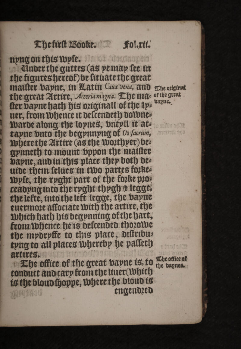 l £ fie fir (l Boost. jfoljrtf. turns on tftte ltopfe. tmocrtfie guttes (as pe map fee ttt tilt ftgures t)ercof)be fttuate ttic great matter toapne, tn Xattn Q*o«m, ano tht great 2Jrtfre, Jmmmtgm. Xfietna* tertoapnefiatfi fits otiginall of tfie lp< Enc* tier, from Vbfiente tt oefcenoetfi oofbne* Miatoe along tfit lopttes, tontpU ft at< tapne bttto tfie begpnnpng of Os facrum, ; Ibfiere tfie ^rtfre (as tfie tbojtfiper) be< gpmtetfi to mount toppon tfie rnattet fiapne, attain tfits place tfiep fiotfi be* utbc tfiern felaes tn ttt»o partes fotfte< Jbpfe, tfie rpgfit part of tfie finite pirn ccaopng into tfie rpgfit tfipgfi $ legge, tfie lefte,fnto tfie left legge, tfie bapne euermoje afTonatc Until tfie arttre, tfie nifitcti fiati) fits begpntrt ng of tfie fiatt, from ibfiettrc fiets beftenbeb tfiotoifie tfie mporpffe to tfits place, ottetbu* tpngto all places Uificrcbp fie patetfi atttrcsu; . ♦ _ _ ■ Xfie office of the great fiapne ts, to ttje toajtu*. conbuct ano carp from tfie lfucr(ibfifcl} ts tfie blouo ffioppe, tfifitre tfie biono ts engenojeo