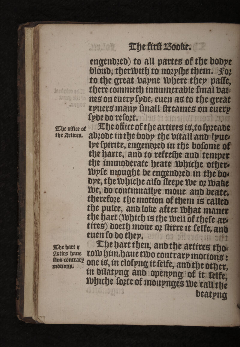 %\)t office of t&e attires. J 2Ct)C &att * artirs fjane ttoo contrary motions# StfjeftmsoD&c. engcnDjeD) to all partes of tljc bobpe blouD, tt)crttntl) to noipflje tfjem. jfot to ttjc great bapne tbberc tfjtp paffe, tljerc commctlj imtninerable fatal bat* nes on euerp fpoc, euen as to tljc great rpttcrs man? fmau flreames on euerp fpoe do refott. Xfjc office of tlje artires is,to fpicabe abtooe in tfjc DoDt> tljc bitall attD ipne# ipefptrite, engenojeD in efte bofotne of tite ijarte, ano to reftefte ano temper tite immooerate ijeate tbijirbe otljer* tbpfe ntpugltt be engettoteb in tt)e bo# bpe, tbetbljtclje alfo fieepe tbe o? tbabe tbe, do continnailpe mone anD beate, therefore tlje motion of tbettt is caileb tbe pnice, ano lobe after tbhat maner tlje part (tbbicl) ts tbe tbeil of tbefe at# tires) Doetl) tnone oj flirre it feift, anD euen fo do ttjep. Xbc Dart then, anD the artires tfto# rob) ljtm,baue ttbo contrary morions» one is, in tlofpng it felfe, ano tftc otberl tn Dtiatpng ano opening of it feifc, Jbljtcbe fojte of mouynges tbe caiitbe beatpng