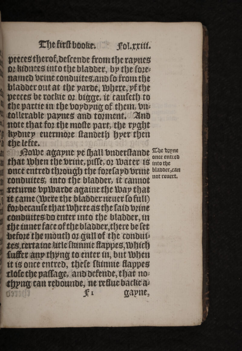 *( \ Hjefitflbooite; jfol.jrjrtif. I * H ll I .. pteecs tberof,bcfrcnbe from tlje rapttcs 02 hibnees into tljc blabber, bp tlje fojc< nainco brute conbuites,anb fo from tl)e blabber out at tlje parbe, ml)ere, pftbe peters be rocluc 02 btggt, it raufeth to tlje partie in tljtbopbpng of tljem, tin- tollerable papnes anb tojnient. 2lno note that fot tlje ntofle part, tlje rpgljt fepbnep cuermoje flanbetb bper tljctt tlje Icfce. j>2ovbt agapne pe fljall bnbcrttanbe ®;>e tbat mijen tbe brine, ptCTe, 02 mater is into tbe once entreb tbiouglj tbe fojcfapbbrine tonbnitts, into tbe blabber, it cannot utt' teturne bpmarbe againetlje map tbat it came (mere tbe biabberneuer fo full) fojibecauft tljat mijcte as tbe faib mine conbutteSbo enter mto tbe blabber,in tlje inner face of tlje blabber, tljere be fee befiwe tbe mouth £>i gull of tbe conbiib tes, certaine title fbinnie ftappes.mbicb fuffer anp tbpng to enter in, but mben it is once entreb, tljefe fHintue flappes clofc tbe paflage, anb befenbe, tbat no* tbpng tan rebouttbe, ne rcfluc baciie a- gapne.