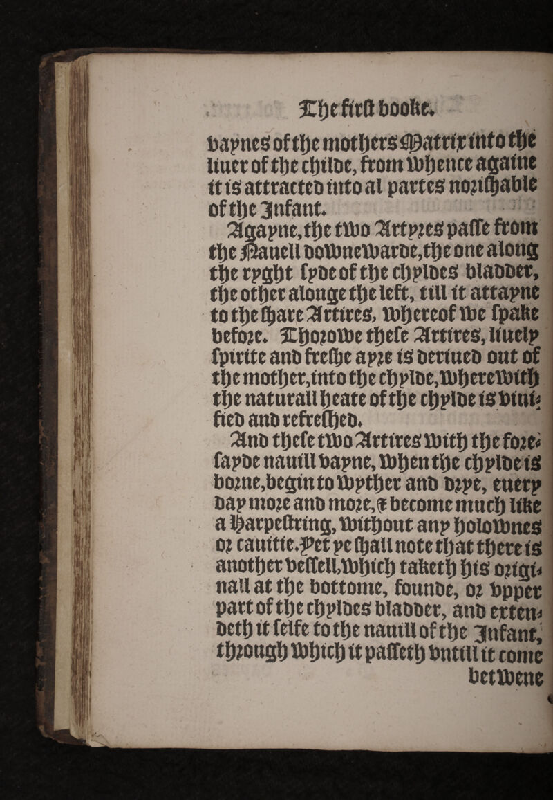 %1)e firfl booltt. toapnes of the mothtts£0attt;r ttifo tfje inter of the ctitioc, from whence agahte it is attracteb into ai partes non® able ofthejnfant. 3lgapne,the ttbo %ttptes paffe front the $aueli botbneiCbarbc,the one along tfte rpght Cpbeofthecbpibcs blabber, the other alonge the left, till it attapne to the ®are Attires, nrtjeteof tbe fpafte before. IChotoibe tfjefe Retires, liuelp fpirite anb fee®e apjte is beriueb out of the mother,into the chplbe,Xbherett)tth the naturallheate of the chplbeistoiui* ftebanbrefrefheb. 2tnb theft ttbo Slrtircsitotth thefoje* fapbe nauill toapne, tbhen the chplbe is bome,begiutoi(topthetanb b?pe, enerp bap mote anb mo?e,f become much lifte a l|)atpcttttng, Without anp holoibnes o? cattitie.pet pe (hall note that there is another beffeli,tbh<th tafteth his ottgn nail at the bottonte, fonnbe, o? topper part of the chplbes blabber, anb ejetem both it felfe to the naniil of the infant, through itohich it paffeth tontill it come betibene