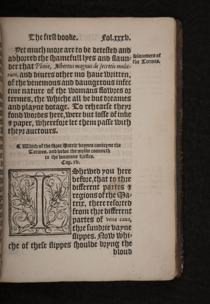 I £fJCfttfU)OOftC, jfol.fwcl). i Pet much moic ate to be DetefttD atib 5 abhoircD the fltamefnU ipcs a no flaun< a DCt tl)at Tlmie, Jllbertus magnus JeJicretis mulic- ' wn.anD Outers other mo hauttiyitten, I of thebenemottsanD oaungerous infec J ttuc nature of the Womans flowjes oj II tcrmes,tl)e tDljtcljeail be but oteatnes J anoplapne Dotage, 3Co retjearfe * font) rbojoes I)ere,tbere but Ioffe oftnUc - $ paper, wherefore let them paffe I thcpiauctours. ■ * ijj ■ - C Mtbic!) of ttje thjee toa?ttes contcpnc tfje 3 anti botue the w?l&c comnutb R| to tjjctoomans bjettes. jj Cap. jrt. gtftetbeD j>ou here befiwe, that to title Different partes * regions of tfteflfta* trir, tl)crctefo2tcD from title Different partes of Ve/ia caua, tbiefunoiiebapne flippes. $otb tbhf* the of theft flippes fljouloe bipng the ■tH blouD