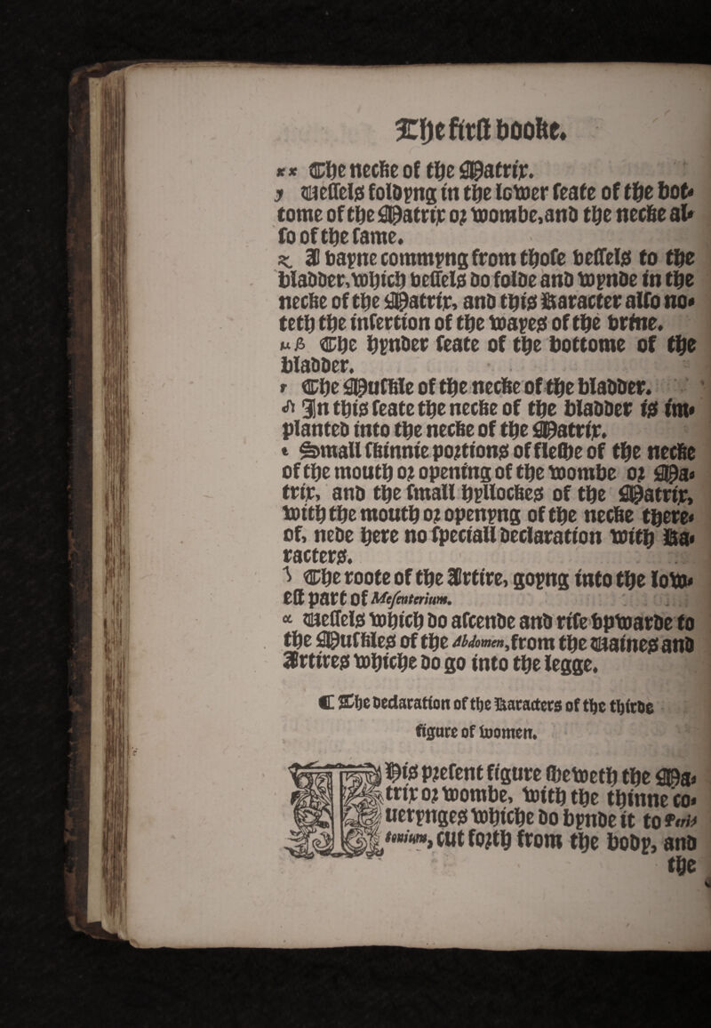 Xi)t ftrB aoofic. ' * ‘ C ** cbe necfie of tty ®atrir. y tiueflete folding in tty tetter feate of tty bot* tome of tbe 09atrijc o? ttorabe,anto tl;e necfie al* fo of tbe fame. H uljtfl m 3D ba^tre commons from tbofe to effete to tty blatotoer,ttbtcb to effete too foltoe anto ttpntoe in tty neeffe of tbe #atrir, anto tbte i&aracter alfo no* tetb tty infertion of tty ttapeg of tty brine. ** jb Cbe bvntoer feate of tbe bottome of tty blatotoer. r Cbe 09uffile of tbe neefce of tbe blabber. <ft %n tbte feate tty neefte of tty blabber te im* planteb into tbe necfie of tty 09atrip. t ^mall Cfiinnie portions of fleffie of tty necfie of tbe moutb o? opening of tbe ttombe o? Spa* trip, anto tbe fmall bpltecfies of tbe 0£atrtjr, ttitb tbe moutb oi opening of tbe necfie there* of, netoe here no fpeciaU Declaration with I&a* ractergf* ^ %ty roote of the irtire, gopng into the lotto* eff part Of Mefaiteritim. * sueffete ttbicb too afeentoe anto rife bpttarbe to the 09uf file# of the ^w<>»«»,from the $nainejs anto 3Brtite0 ttbicbe too go into tbe legge. 9 * y * i . i 1 C Declaration of tbe ftaracters of tbe tbitDe figure of foomen. fte parent figure ibettetb tbe 09a* trip o? toombe, ttttbtbe tbimte'eo* uerpnges ttbtcbe too bpntoe it to ?«** ttmm, cut fo?tb from tbe botop, anto tty