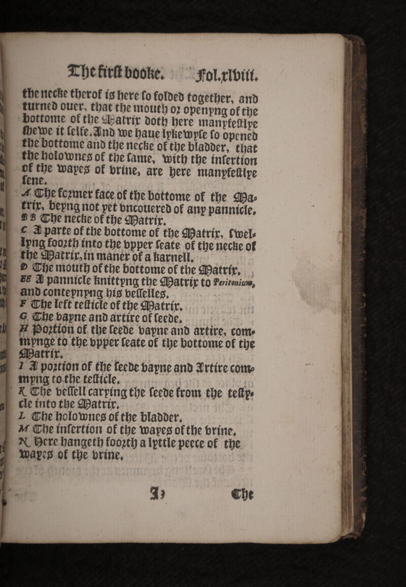 \ J i I St, t I fs fit n tic iti J i i \ 3H)C ftttt booftc. JfoltfWrt, tilt turtle eiicrof (3 here fo foIOeO fogetficr, and turned oucr, that the mouth oj opeuvng of the bottome of the *atrir both here manpfeftlre (hewc tt felfe.SCnb toe haue Iphetopfe fo opened tuc bottome and the neefee of the bladder, that the holotoncjs of the fame, toith the tnfertion of the ttapeg of brine, are here manpfeftlpe fcric# * Che fejmer face of the bottome of the <2®a> tvify bepng not pet bneouered of anp panntcle* ® ® Che neefte of the sJ^atrip, c 20 parte of the bottome of the 0&atrip, ftoel* Ipng foojth mto the bpper feate of the nec&e of the g$atrtjr,t'n maner of a fearnell. e> Che mouth of the bottome of the 09atrip, EE 30 panntcle fcnittpng the Qpatrip to ftritmum, and contepnpng ht$ beOeUes. F Che left reff tele of the fllBatrir. c Che bapne and artire of feede, P 1&oztion of the feede bapne and attire, com# ntpnge to the bpper feate of the bottome of the fl^atrtp. 1 30 portion of the feede bapne and 30rtire com# tttpng to the tefficle, • < K. Che befTell carping the feede from the te8p* cle info the 09atrip. i Che holotnne0 of the bladder. m che infertion of the toapejs of the brine, K l^cre hangeth foojth a little pecce of the toapc$ of the brine. *, Cljt 4