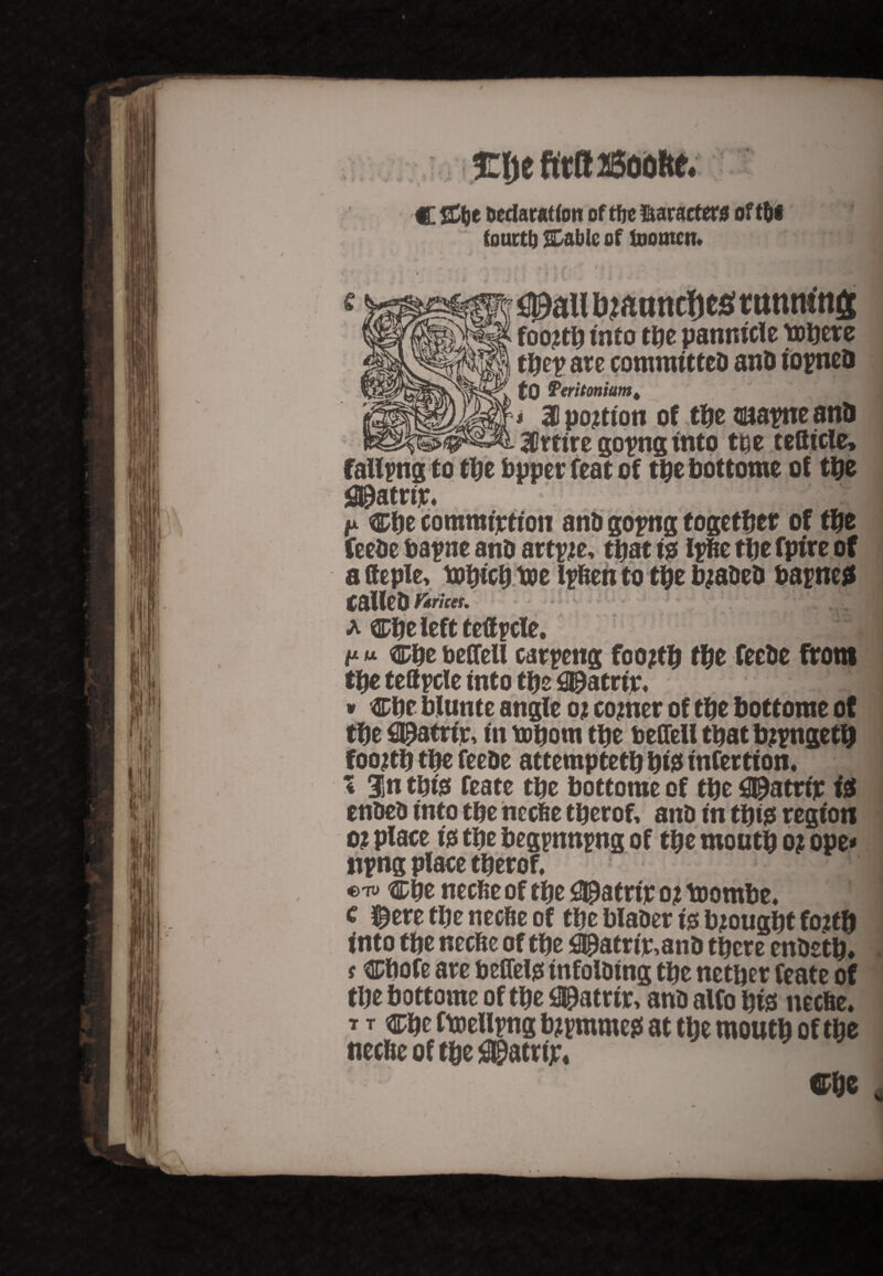 Ehe firBJSddfte, 4 '■ C SC&e declaration of tfje ftarartew oft&i found Stable of inomen* i .« ^au^attncfje^mntn'itij foojtb into the pannicle tot) etc ttyy arc committed anO iorneo (0 Periton turn t * 3 portion of the cnatne and _ „ 3rtirego^nginto ttje tefiicle* falling to the bpperfeatof the bottome of the ^atrtjr* ix ctie comnurttot! and go?ng together of the feede bapne anD art#e, that is tyfee tbe fpire of a(Jeple> xobtebtoe l^ften to the beaded barneS tailed Vtricei. a left teffpcle. tx u bedell caring foojtb the fecDc from the tettpcle into the SDatrir* » Cbe blunte angle o? corner of the bottome of tbe £$atrir, in reborn tbe bedell that bj?ngetb foojtb tbe fceDe attemptetb bis infertion. 4 3n this feate tbe bottome of tbe 0&atrip fa enDeD into tbe heebe tberof, and in this region o? place is tbe begpnnrng of tbe mouth o? ope* ti?ng place tberof. . ? !0 €7U ®be neebe of tbe $tetrir oj toombe* € ^ere tbe neebe of tbe blaDer is brought fo?tb into tbe neebe of tbe ^atrir,anD there endetb* f Chofe are bedels infolding the nether feate of the bottome of the ^tatrir, and alfo bis neebe* t r cbe ftoellrng b^mmes at the mouth of the neebe of the 3©atrijr« Che