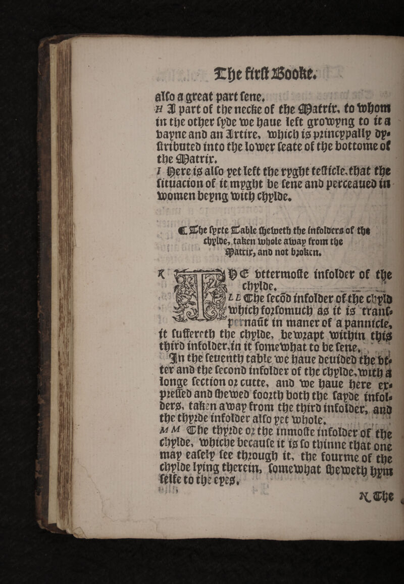 , .. i 3C{ie Rtflt JS5oofte< alfo a great part fene* n 31 part of tbenecfeeof tbe 09afrir, totobom tit tbe other fpDe toe baue left grotopng to it a bapne anD an Irtire, tobtcb fa pnncppallp op* firtbnteo into tbe lotoer feate of tbe bottome of tUe ^atrtjr* .^jl / ll^ere fa alfo pet left tbe rpgbt tefftele, that tty fttuacton of it mpgbt be fene ano perceaueo in tooroen bepng toitb cbpioe. ia »• .«» v * t \ ¥ « r 5 1 i '' * 1 i- « • \ * *' • • • V C %\)t fprte Cable fljefoetft tbe fnfoloer* of tfce cft?lDe,. taken toljole afoap from tbe #atctr, ano not bjofeett* © @ tttcrmotie tnfolDer of tbe critic. *#% ■* i tDbtcb fojfomucb as tt fa tranf* pernafit tn rnaner of a panntcle, it fufferrtb tbe cbpioe, betojapt bottbin tbfa tbtro inf olDeu'n tt fometobat to be fene* ;7 ^^■■1 . tbe cbplDe,tmtb a longe feetton o? cutte, anD toe baue here er* pjeffeD anD (beboeD foojtb both tbe fapDe tnfol* &er& tafem atoap front tbe tbtrD tnfotDer, anD tbe tbptDe tnfolDer alfo pet tobole. m m Cbe tbpjDe oj tty tnmolle tnfolDer of tbe cbplDe, tobtebe becaufe tt fa fo tbtnne that one map eafelp fee though tt, tbe fourme of tbe cbpioe iptng therein, fometobat (betoetb Dvm folfo fh v . 7 K®ty ft r i. £ ' »