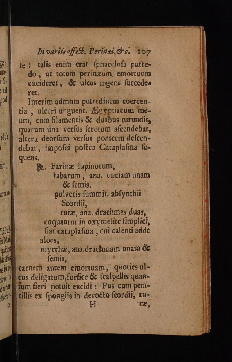 te: talis enim erdt fphacclofa putte- do; ut totum perinzum emortuum eXcideret, G&amp; uleus ingens füccedee ret. | Interim admota putredinem coercen- tia, ulceri unguent. /Ecyptiacum rne- um, cum filamentis &amp; duabus turundis, quarum una verfus fcrotum afcendebat, altera deorfum verfus podicem defcen- debat, impofui poftea Cataplaíma fe- quens. E. Farinz lupinorum, fabarum, ana. unciam unam &amp; femis. pulveris fummit. abfynthii Scordii, tutz, ana. dfachimas duas, coquantur in oxymelite fimplici, fiat cataplafma , cui calenti adde aloes, inyrrhz, ana.drachmam unam &amp; femis, | | cus deligatum;forfice &amp; (calpellis quan- |tum fieri potuit excidi : Pus cum peni. UE, 1