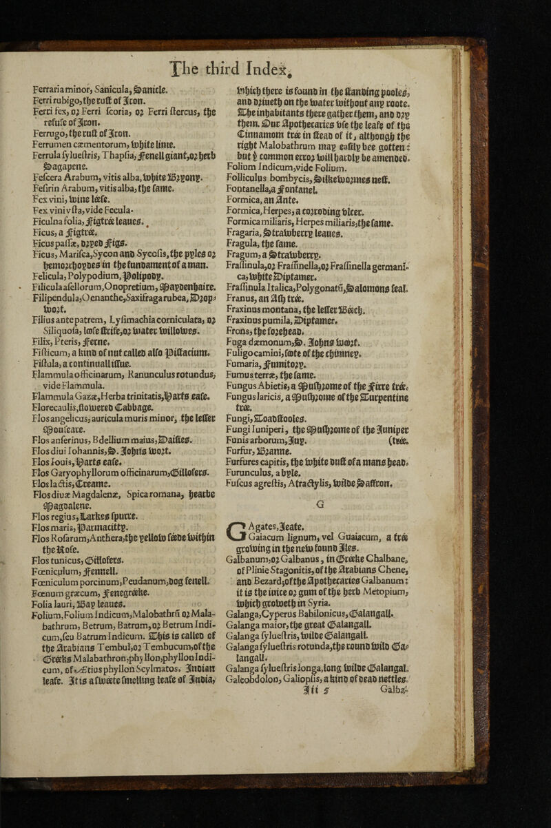 Ferrarla minor, Sanicula, panicle. Ferri rabigo,t^e cult of 31con. Ferci fex, o^ Ferri fcoria, oj Ferri ftercus, refufe of 3icon* Ferrugo, t^erutt of 3Icon. Ferrumen cacmentorum, U)l)lf0 little. Ferrula fylueftris, Thapfia,ifeneU0ianf,o;l)etb ^agapene. Feicera Arabum, vitis alba,tDbite HS^^on^. Fellrin Arabum, vitis alba, t^C faittC. Fexvini,U)ine IffifC. Fex vini vfta, vide Fecula* Ficulna folia, if igtea leaner., Ficus, a ifigtea. Ficus pallae, D;^eDiftg5. Ficus, Marifca,Sycon anO Sycofisjtbe pplcfi oj bemo^cbo^Ds^ ttiefunoanientttfainan. Felicula, Poly podium, poltpofig. F»IiculaalclIorum,Onopretium,9^apDenbaire. Filipendula,Oenanthe,6'axifraga rubea, ^jop^ tDO^t. Filiusantepatrem, LynmachiacorniculaCa, 0} Siliquofa, l(Drettcife,oaUiaCet; tt)tUotPS0. Filix, Pteris, ifecne* Fiilicum, a UtnD of nut calleD alfo piSactum* FiHula, a continnaUilTue. Flammulaofbcioarum, Ranunculus rotundus, videFlammula. Flammula GazjE,Herba trinitatiSjl^aCfS Cafe. Florecaulis,ttoU)ereD Cabbage. Flos angelicas, auricula muris minor, f be lelTee spoufeace. Flos anferinus, Bdellium maius,^ai(tei^. Flosdiui lohannis,^. 3iobttO U)0^t. Flos Iouis,!^art0 eafe* Flos Garyophyllorum officinarum,CillofeC0. FIoslaais,Cceame. FlosdiuacMagdalense, Spicaromana, b^^t^be ^agualenc. Flos regiusjilacfees fpucie. Flos maris, pacinacittp. Flos Roiarum, Anthera)tbe )^eUolD fi®be ttHtbitI tbeHofe. Flos tunicus, Cillofetg. Fcenicplum, ifennell. Foeniculum porcinum,Peudanum,liog feitello Foenum graecum, jf cnegreefee. Folia lauri, 515ap leaues. Folium, Folium Indicum,Malobathru o^ Mala- bathrum, Betrum, Bacrom,oj Betrum Indi- cum,feu Batrum lndicum. SDbii^ iiSi calleo of tbe Acabiano T embul,oa Tembucum,of tbes (Sceefes M alabatbron,phy Uon,phy lion Indi- cum, Dfj^tiuspbyllonScylmatos, SInOian leafe. 3!t 10 a fuuate fmeUing leafe of 3lnDia, inbicb tbcce 10 founb in tbe ffanbing po0le0, ano Driuetb on tbe toatei* Uiitbout anp coote. 2Lbeinbabitant0 tbecegatbectljem, ano them. £)uc %otbecarie0 bfe tbe leaf? of tbo Cinnamom tea in tteao of it, altbougb tbe right Malobatbrum map eafilp bee gotten; but i common ecco^ toill bacDip be amenoeo. Folium lndicum,vidc Folium. Folliculus bombycis, ^ilfeetuojmw nelf. Fontanella,aifontanel. Formica, an ^nte« Formica,Herpes, a coacoDing blcec. Formica miliaris, Herpes miliaris,tbe fame. Fragaria, ^tcatoberrp lcaue0. Fragula, tbe fame. Fragum,a ^tcatobeccp. FralTinulajO^ FraiTinella,oj FraflincIIa germam- ca,mbite^iptamer* Fraflinula ItaIica,Polygonatu,^alomon0 feal Franus,ana(btc^. Fraxinus montana, tbe lelferSBacb. Fraxinus pumila, ^tptamer» Frons, tbe fojebeao* F uga d xmonum,^. 3Iobn0 , Fuligocamini, tote Of tbe Cbittlttep* Fumaria,ifnmito?p. Fumusterrje, tbe fame. Fungus Abietis, a ^ul^jomeof tbe jficce frac Fungus laricis, a ^ulb^ome Of tbe SCurpenttne tea. Fungi, snoaDffooie0. Fungi luniperi, tbc^pufbJomeof tbe3!unipec Funis arborum,31up. (tea. Furfur, iSjanne. Furfures capitis, tbe lobite buft of a mano boaOo Furunculus, abple. Fufeus agreflis, Atradylis, totloel^ affront G A gates,leafe. Gaiacum lignum, vel Guaiacum, a tea geotoing in tbe netu founo 3lle0. Galbanum,o^ Galbanus, tnCeatte Cbalbanc;. of Plinie Stagonitis,of tbe ^eabtano Chene, ' ano Bezard;Oftbe0potbecaeie0Galbanum; it i0 tbe iutce 05 gum of tbe b®cb Metopium, ttJbicb grotoetb in Syria. Galanga,CyperusBabilonicus,CiaIangaU» Galanga maior,tbe great Calangall. Galanga iy’lue(lris,toilDeCalangalI. Galanga lylueftris rotunda,tbe rouilD ittilD Ca^ langall. Galanga fylueftrislonga,long toilOeCialangal, Gakobdolon, Galiopfis, attino of beao nettle0« mis Galbsi *