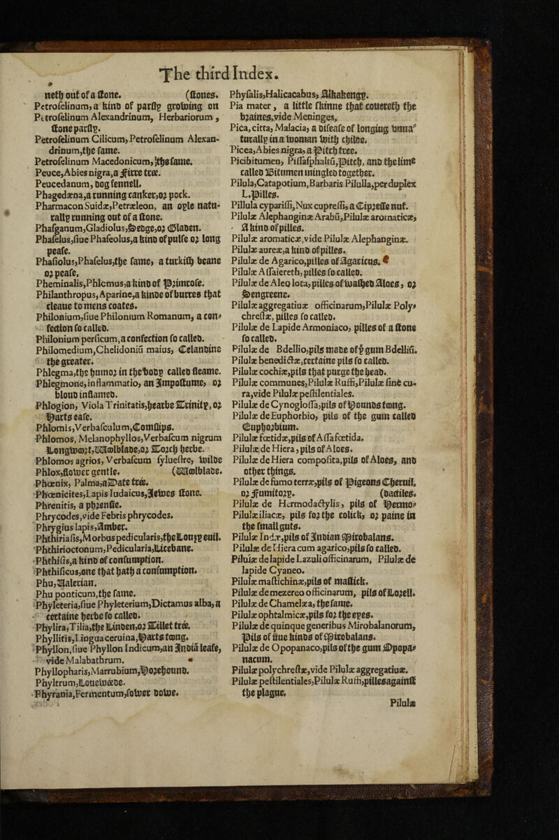 netl^ out of a lIono« (Itoneo. Pctrofelinumja kmo of par0p gtotomg on PtCroIelinum Alexandrioum, Herbariorum , ItoneparQ^* Petrofelioum Cilicum? Petrofdmum Alesao- driDum,t^e fame. Petrofelinucn Macedonicumjjt^Ofatue. Peuce, Abies nigra,a ^ittz tea. Peucedanum, Dog fennelb Phagedsena^a eunntng cankccjo; pock. PharmaconSuidacjPetracleon, an oplC naftt- rallp cunning out of a Hone. Pha^anum)GladioluS}^eDg0}O;(lDlaDen. Pbafelus/iue PhafeoluSja Dmo ofpulfe o^ long peafe. PhadolusjPhafelusjf^e famoy afucktU^ boane o^peafo, Pheminalis,PblcmuS)a btnO of p^dmcofo. Pbilanthropus, Aparine,abtnDe ofbuctoo t^at cleaue to mens coated* Philoniumjfiue Philonium Romanum, a con^ fectionfocalleD. Philonium perlicum,a confection fo calleo. Philomedium,CheIidoniu maius^ Celanoinc tbogceatec. Phlegma,fbs buinoj in tbelJODp calico fleame. Phlegmone, in flan'imatio; an Blmpottunse; o; blouD inQaitieo. Phlogion, Viola Trinitatis,^eatbe SCciniti?, OJ ^act 0 cafe. Phlomis,Verbafcalum,Coniflip0. Phlomos, MelanophyllosjVerbafcuna nigrum ILongUjffl^tjMiDlblaDejO^ 2Co^c|i b^cbe. Phlomos agrioSjVerbafcuro fylueftrej toilDO Phloxjflottiec gentle* (SiSa^mlblaoe* PbocniX) PalmajaSDatetca* Phocnicites,Lapis Iudaicus,3(dtoe0 Itone. Phrenitis, a pb^enCc* Phr/codes,vide Febris phrycodes* Phrygius lapis j^ntbec. Phthiriafis,Morbus pedicularis,tbelLonjpeai!* Phthirioctonu m} Pedicularia,iltceb ane. PhthifisjahinD of confnmption. Phthificus,one that batb a confumptiom PhU};i|aIecian. Phu pbnticum,tbc fame. ‘l^hyleteriajfiue PbyleCerium,Dictamus alba, a cectainebwbefo calleo* Phylira,Til{a,tbe iUnoen,oj SCillet tea. PhyllitiSjLinguaceruinajl^actdtang* Phyllon.fiuc Phyllon lndicum,an Binoia leafe, vide Malabathrum. * Phyllopharis,Marrubiom,^0?ebounO. PhyltrumjiLouelt)aoe> P hyrania,FerinenCum,foUJec 0 Otoe* Phyralis,Halicacabas, Blbahengp. Pia mater, a little fhinne that couecetb bjaine0,vide Meninges, Pica,citta, Malacia, a oifeafeof longing tjuna^ tucallpinatooman toitb cbiloe* Picea,Abies nigra, a pitch tree* Picibitumen, Piirafphaltu,pitcb* anO tbelim^ calleo Bitumen iningleo together. Pilula,Catapotium,Barbaris PiluUa,per duplex L*piUe0. Pillula cypariffi,Nux cuprefli, a Cipjeffe nut. Pilulac Alephangin* ArabujPilulse arotnaticae, ' j^binoofpilleo. Pilulsc aromatics, vide Pilulse Alephanginas, Pilulas aurejE,a bino of pilleo* Pilula: de Agarico,pille0 of ^gacicuo. ^ Pilulse A Ifaiereth, pilles fo callCD. Pilulae de Alco lota,pille0 oftoa^eo 0loe0, 0^ ^engceene* Pilulse aggregatiusc officinarum,Pilulsc Poly^ chredse, ptUeo fo calleo* Pilulse de Lapide Armoniaco, pilleilof a 0one fo calleo* Pilulse de BdeIIio,pi!s ttiaoe off gum Bdelliu, Pilulse benedi(flsc,cectaine pil0 fo calleO. Pilulse cochise,ptl0 that purge the heaO* Pilulse communes,Pilulse Ruffi,Pilulse iinO cu- ra,vide PilulscpefHlentiales. Pilulse de Cynoglo(ra,pi!0 of l^ounoo tong. Pilulse deEuphorbio, pilo of the gomcalleO (l^upho^ium* Pilulse fcetidse,pil0 of AlLafoetida* Pilulsc de Hiera, pil0 of Aloeo* Pilulse deHiera comporita,ptl0 Of Aloe0, anO Other thing0. Pilulxdefumoterrse,pil0 of pigeonoChecuil, o^ifumifo;ip* (oactileo* Pilulse de Htrmoda(5lylis, pil0 of l^ecmoj* Pilulseiliacse, pildfo^the coUcb, o^painein thefmaUgnto* Pilulse Ind.T,pil0 of luoian gpirobalans. Pilulsc deHiera cum agarico,pil0fo calleO. Pilulse de lapide Lazuli ofheinarum, Pilulx de lapide Cyaneo* Pilulse maRichinse,ptl0 Of malltcb* Pilulse demezereo officinarum, ptl0 Ofllo^ell* Pilulse de Chamelsea, the fame* Pilulse ophtalmicse,pt!0 fo; theepeo* Pilulse de quioque generibus Mirobalanorum, ^il0 of fine bmO0 of f^trobalano* Pilulse de Opopanaco,ptl0 of the gum l^opa^ naenm. Pilulse poly chreftae, vide Pilulse aggregatiu*. Pilulx peRilentiales,Pilulse Ruffi,pille0agatnl{ the plague* Pilulse