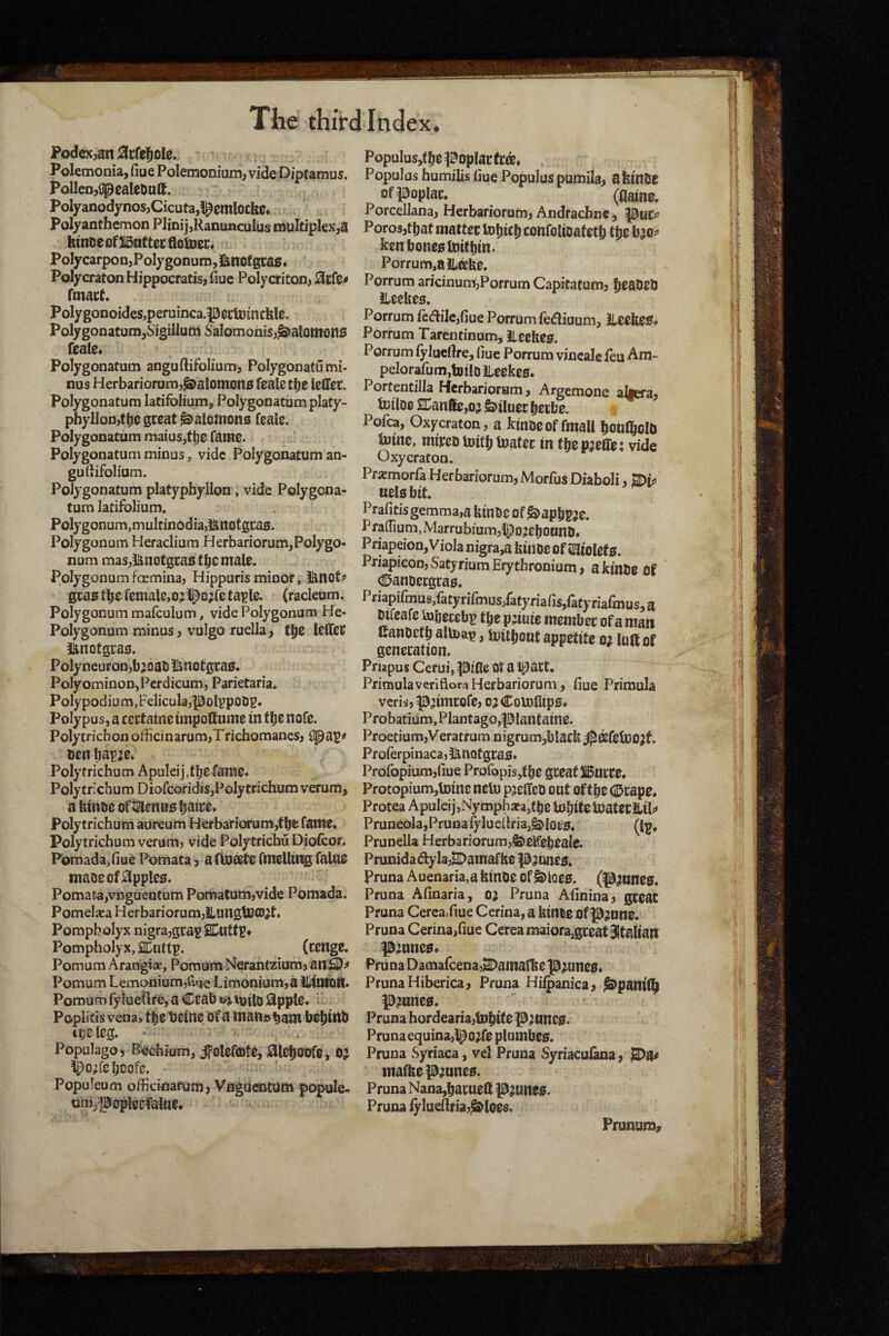 Podex^an ^cfe^ole. '' Polemonia, fiue Polemonium, vide Diptamus. Pollen,qpealeDutt. Polyanodynos,Cicuta,1^0mlocb0. . Polyanthcmon Plinij,Ranunculus Enultiplex,a btnDeof 315ntt0r floljD00« Polycarpon,Polygonum, !^nofgta0» Polycraton Hippocratis, Cue Polycriton, 0cf0# fmact Polygonoides,peruinca.|30i:tDinckle. Polygonatum,6'igillumSalomonis,^alomon0 f0al0* Polygonatum anguftifolium, Polygonatumi. nus Herbariorum,^alomon0 fealetfje leCTer. Polygonatum lacifolium, Polygonatum platy- pbyllon,tbe sceat Salomons feale. Polygonatum maius,tt)0 fanJ0. Polygonatum minus, vide Polygonatum an- gu difolium. Polygonatum platyphyllon, vide Polygona¬ tum latifolium. Polygonum,multinodiajl^notgcaa. Polygonum Heraclium Herbariorum, Polygo¬ num masji^nofgcas tljcmate. Polygonumfoemina, Hippuris minor, H^not^ gca0 (be femaUjOj l^ojfc ta^le. (racleum. Polygonum mafculum, vide Polygonum He- Polygonum minus, vulgo ruella, t^0 leffeu ianotgi*a0. Poly neuron jb3 oat l^notgtag. Polyominon,Pcrdicumj Parietaria, Polypodium,FeliculajPol^potB* Polypus, a ccctaine tmpottume in fljc nofe. Polytricbon officinarum,Trichomanes, Spap^ ten liai?3c. Polytrichum Apuleij.tljefanie* Polytrichum Diofeoridis,Polytrichum verum, a hinte of tienua h^tr0* Poly trichum aureum Herbariorum,the fame. Polytrichum verumj vide Polytrichu Diofeor. Pomada,liue Pomata, a finOBte fmelltt^ falUC inaD0of0ppl00. Pomata,vnguentum Pomatum,vide Pomada. Pomeljca Herbariorum,ilungtoCDJt. Pompbolyx nigra,gcasSCuttp* Pompholyx, 2Euttp. (tenge. Pomum Arangte, PomumNerantziura, an^^ Pomum LemoniumjGne Limonium,a lUmon* PomumlyIueRt€,aCcabe3titito0pple* ii Poplids vena, fbetieine Of a man^bam be^iint ipeleg. Populagov Bechium, ifolefcdte, 0le^oofe, OJ ^o;fcboofe. ' Populeum officinarum, Vngneauum popule- nmyjaopiecfeiae. Populusjt ^e poplac f ca. Populus humilis liue Populus piimila, ahtnoe ofpoplac. (aaine. Porcellana, Herbariorum, Andrachne, pucs= Porosjtbat mattcc confoUoaf etb tbe bjo^ kenboneolnitbin. Porrum,aJlabe. Porrum aricinum,Porrum Capitafum, beatet iLeebeo. Porrum fc(51ilc,fiue Porrum fediuum, Ileeke0« Porrum Tarentinum, ileebeo. Porrum lylucllre, fiue Porrum vineale leu Am- peIorafum,tDil0 iLeekeo. Portentilla Herbariorum, Argemone ahera, hjiloe 2Canfte,o^ ^tluer beebe. i Pofca, Oxycraton, a kinoeof fmaU bonlbolt intne, miteo toitb toatec in tb^pjeife: vide Oxycraton. Prxmorfa Herbariorum, Morfus Diaboli, 2)^ U£l0bit. Prafitisgemraa,a binoe of ^apbpje. Pra0[ium,Marrubium,l}^O,jel)OunD» Priapeion, Viola nigra,a biilOeof i^tolefo. Priapicon,SatyriuraErythronium, aktnOe Of (IDanoergrao. Priapifmus,fatyrifmus/atyriafis,fatyriafmus,a tifeafe inbecebi? the pjiuie member of a man Canoetb altoa^, toitbout appetite o; lp(f of generation. Priapus Cerui, pi06 Ot a ipatt. PrimulaverifioraHerbariorum, fiue Primula veris, P’imtofe, o j Colnflipo* Probatium,Plantago,piantaine. Proetium,Veratrum nigrum5blacb j]5®feiD0jf, Proferpinaca, l^nof gra0. Profopiumjfiue Profopis,fbe great llBurce. Protopiumjtoinc neli) psetlcD out of tbc 0rape, Protea Apulcij,Nymph3ca,tbe iobite l»atecJlil;> Pruneola,PruDafylucdria,^ioe0. (1^, Prunella Herbariorum,^elfebeale. PrunidadlylajSDamafbe Pauneo. Pruna Auenaria.a binoe of&ioe0. (pannes. Pruna Afinaria, 0} Pruna Afinina, great Pruna Cerca,fiue Ccrina, a binue of pmne. Pruna Cerina/iue Cerea maiora,great Italian pmne0, Pruna Darnafeenaj^amarbe p^uneo, Pruna Hiberica, Pruna Hilpanica, ^pantbb pmneo. Pruna hordearia,tDbif O P^unco. Pruna equina,)^o;re plumbeo. Pruna Syriaca, vel Pruna Syriaculana, mafbepmneo. Pruna Nana,baruetl P^uneo. Pruna lyluenria,^loes. Prunum,