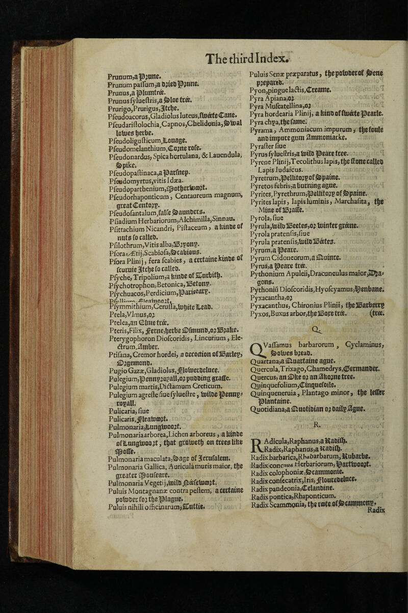 Prunumjap^unc# Prunum palfiim ,a DJICD p^nnc. Prunus,a piumir®. Prunusfylueftrisja ^Io0 tc®. Prurigo,Prutigusj3tc^0. PfeudoacoruSjGladiolusIuteus.ftDateCane. Pfeudariftolochia,Capnos,Chelidonia,^toal lotues Pfeudoligufticum,!Lonage. Pfeudomelanthium.Cojnc tofe. Pfeudonardus; Spica hcrtulana, & Lauendula, &pik0i Pfeudopaftinaca,aparfnep. PfondomyrtuSjvitis Idsea. Pfeudoparthenium,^pDt|)2tto(D?t« Pfeudorhaponticum ? Centaureum magnum, great Cenfo;^. Pleudofantalum,falfe ^aunoers* Pfiadium HerbariorumjAlcbimillajSinnau. Pfittachium Nicandrij Piftaceum? ahinDeof nuts fo calico. PfilothrumjVitis albajlSj^on^. Pforaex4^tij,Scabiora,&cabi0US. Pfora Plini j, fera fcabies, a CCCtainc kinOe Oi fcurutsltcbcfocallco. PfychcjTripoliumja fetnOe of SCucbltp. Pfychotrophon, Betonica, ffiietom?* Pfy chuacos j P erdicium,p acic^ac^. JTleaiiiooit. Pfymmithium,CerulIa,tul)ife IlcaO. Ptela,Vlmus,o^ Ptelea,an CElmefr®. PcerisjFilix, ^finunOjO^ )15?abe* PterygophoronDiofcoridisj Lincurium, Elc- drum,0mber. Ptifaaa, Cremor hordei, a CCCOCtton Of Racier j ^^gcmonOf PugioGazse,Gladiolus, Jflotoecocluce. Palegium,p0nn^:o2all,o;i puooing gcaffe. Pulegium martis,Di{3:amum Creticum. Pulegium agrefte dueiyluedre, tptloe peiWJ^^ co^all. Pulicaria, fiue Pulicaris,5FlcattJ£D^f* Pulmonaria,ilunglDOOjf. PuImonariaarborea,Lichenarboreus, aUfntie ofitnngUJoojt, t^at groloet^ ontceeoUfee upoCTe. Pulmonaria maculata,S>age of Slctufalcm* Pulmonaria Gallica, Auricula murismaior, tfje gceaCcc cpoufeare. Pulmonaria VegetijjtoilO^ffifctoCDjt. Puluis Montagnanac contra peftem, a CCCtaine potuDcc foj tbc plague# Puluis nihili officinarum;&ttie» X Puluis Senae pracparatus, tJe pOluOet Of ^eric pjepawb. Pyon,pingueIaftis,Cceanie. Pyra ApianajOJ  Pyra Mufcatellina,oj Pyra hordearia Plinij, a felHO of ftuafepcacle. Pyra Gh^a,t^c fame. Pyrama, Ammoniacum impurum j t^efOQle ano impute gum ;^mmoniacke» Pyrafter fiue Pyrus fylueftris,a toilo peace tree. Pyrene Plini],Tecolithus lapis, t^e Hone calleO Lapis ludaicus. Pyretrum,pellito?pof^paine. Pyretos febrisja butning ague. Pyrites, Pyrethrum,peUito^p of ^paitie. Pyrites lapis, lapis luminis, Marchafita, Mineof3i3;aire. Pyrola,riue Py rula,toilo )l5cete0,o? toinfer gceene. Pyrola pratenfis,fiue Pyrula pratenfis,U)il0llBffife3. Pyrum,a peace. Pyrum Cidoucorum,a Quince. Pyrus,a peace tea. Pythonium Apuleii,Dracunculus maiorjSC^a^ gons# PythoniuDiofcoridis,Hyolcyamus,^^enbane. PyxacanthajOj Pyxacantbus, Chironius Plinii, t|^e }15acbecc^ Pyxos,Buxus arbor,tl)e}15oce tea. (tCCC* QVaffamus barbarorum, Cyclaminus, ^ ^otueob^eaD. Quartana,a flaactaine ague# Quercula,Trixago,Chamedrys,0ecmani)ec. Quercus, an 0? an 0boine tcee# Quinquefoliura,CinQUefOile. Quinqueneruia, Plantago minor, tj^e lefTCC piantaine. Quotidiana,a ^uotioian o; bails 0gue. R. RAdicula,RaphanuS)a Habill^. Radix,Raphanus,a Kaoilb* Radix barbarica,RbaOarbarum, KubacbO. Radix concai^d rierbariorum, l^acttoOOit. Radix colophoniacj^cammonte. Radix confccatrix,Iris, jf louceOelUCe# Radix pandeonia,CelanDine. Radix pontica,Rhaponticuro. Radix Scamcnonia, t|)e cote of^wwwonj* Radix