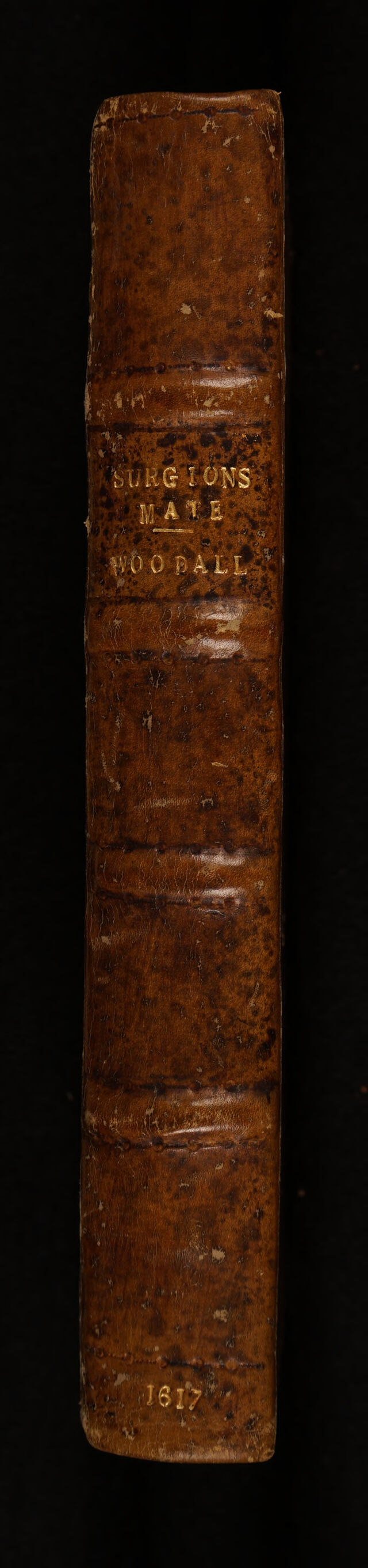 No text description is available for this image