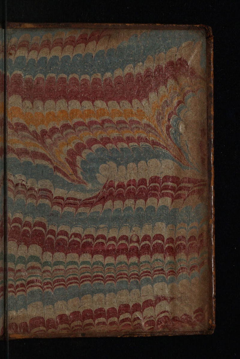 No text description is available for this image