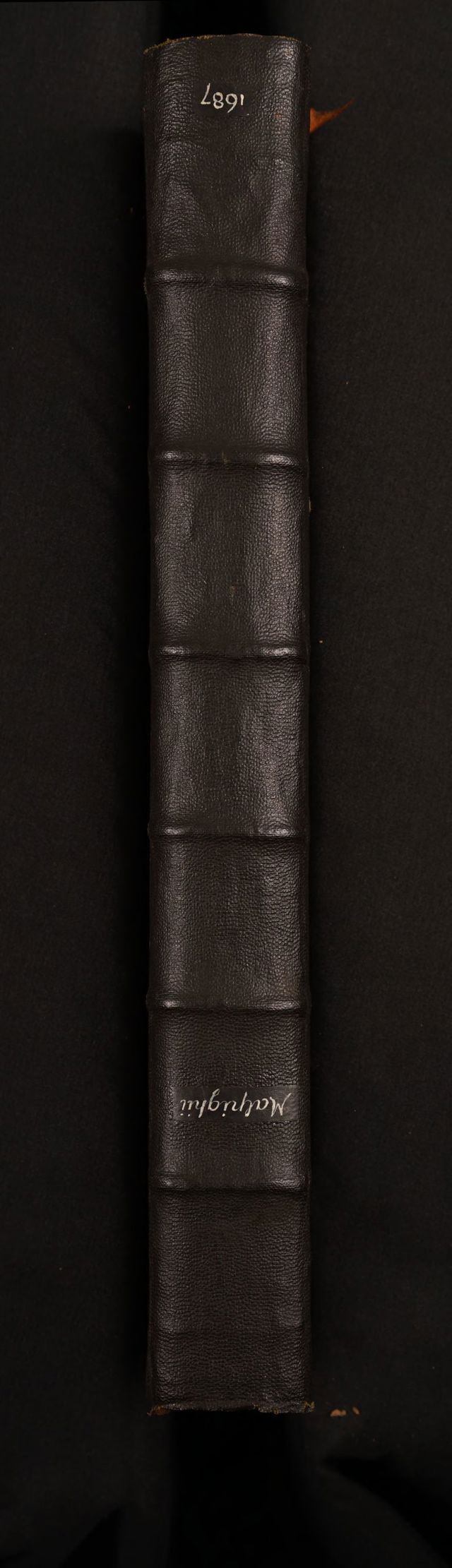 digitised image 2
