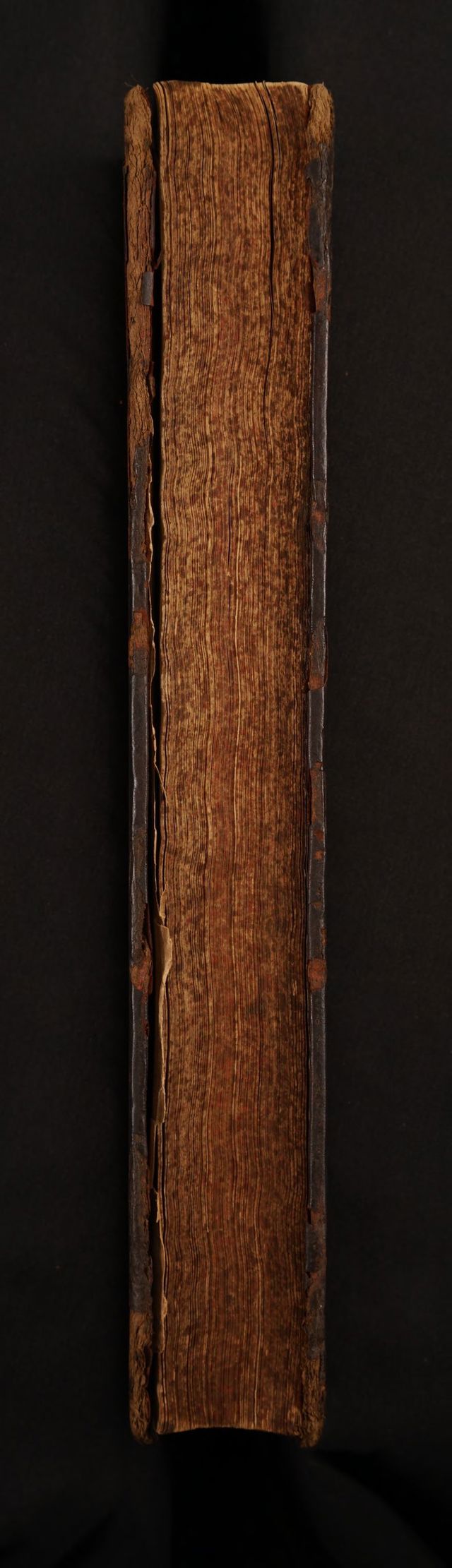 digitised image 3