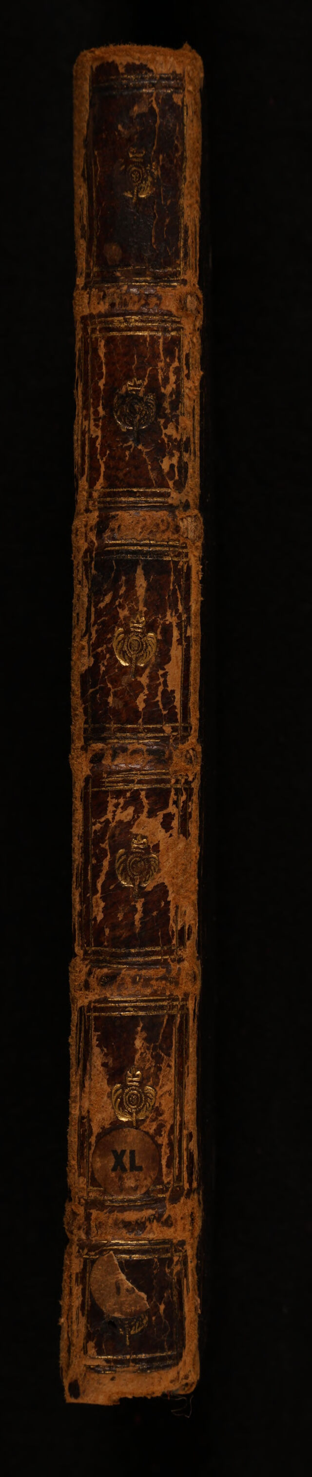 No text description is available for this image