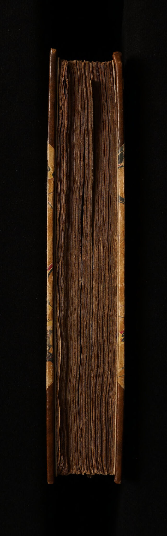 No text description is available for this image