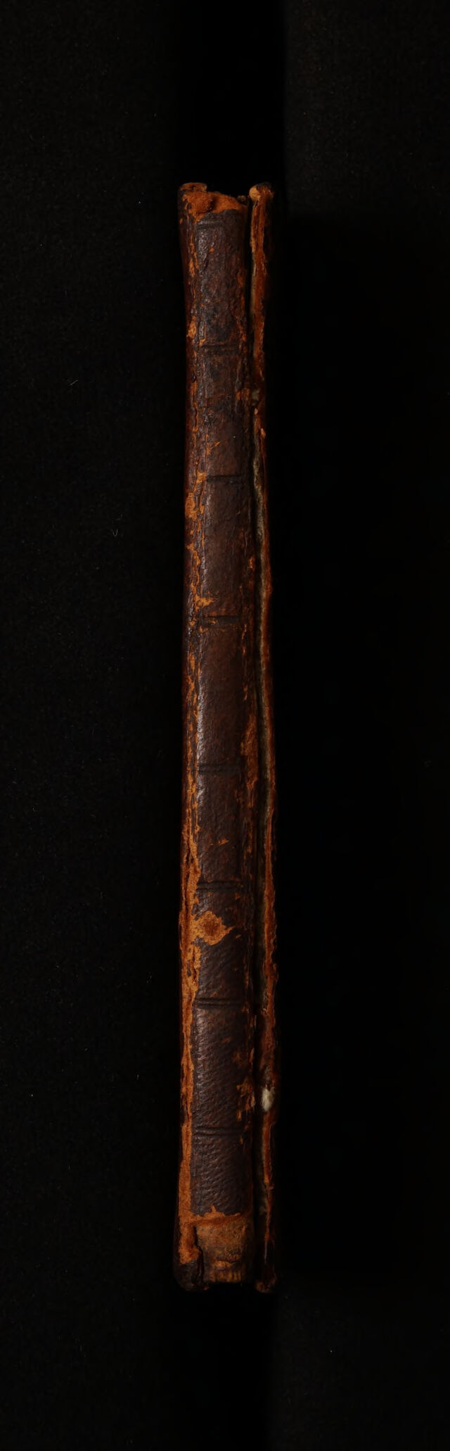 digitised image 2
